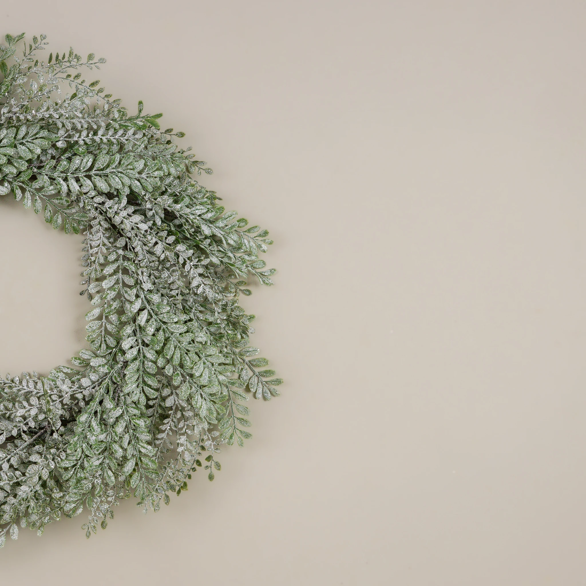 Frosted Boxwood Wreath, 24", photo 3 of 3