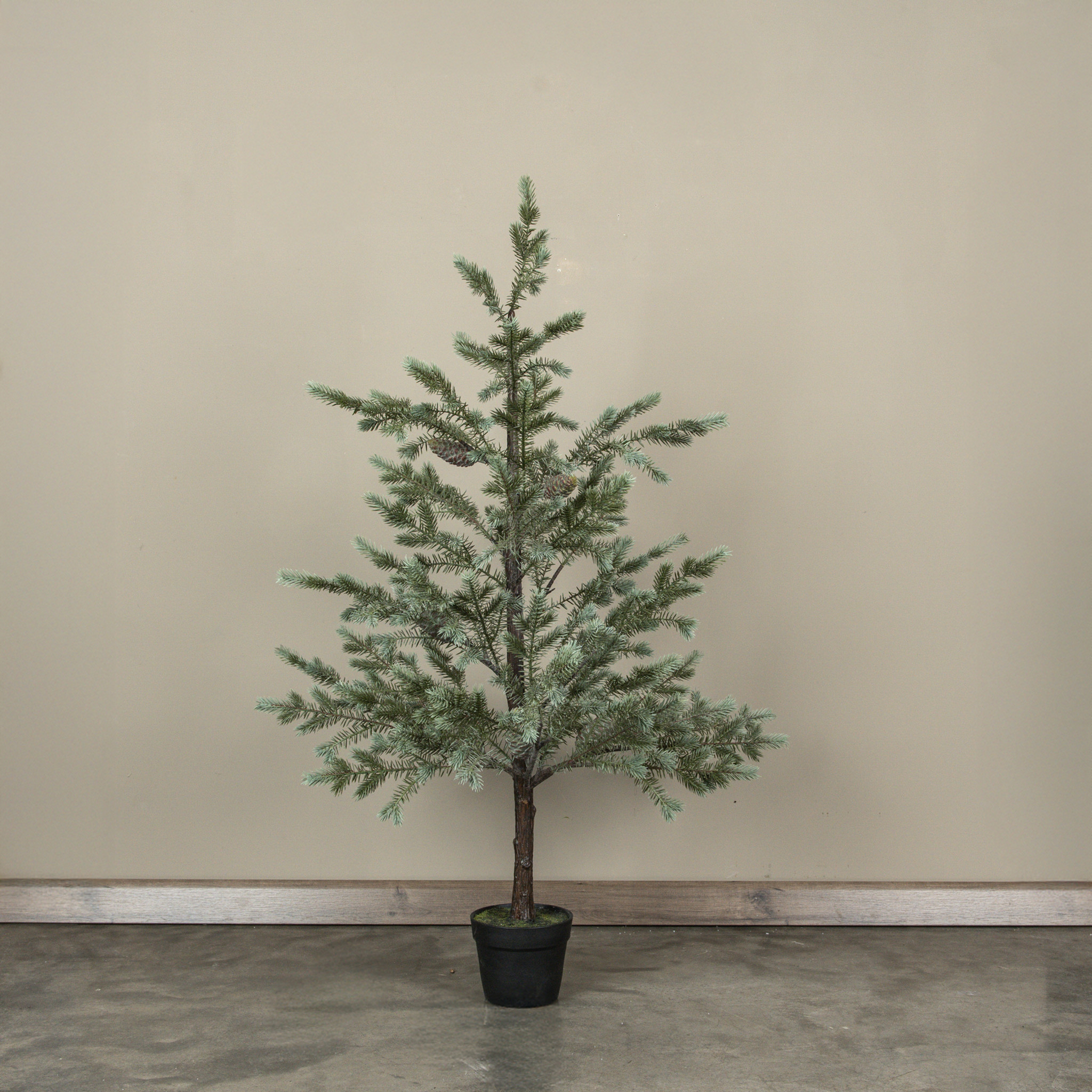 Sage Copley Pine Tree in Pot, 48"