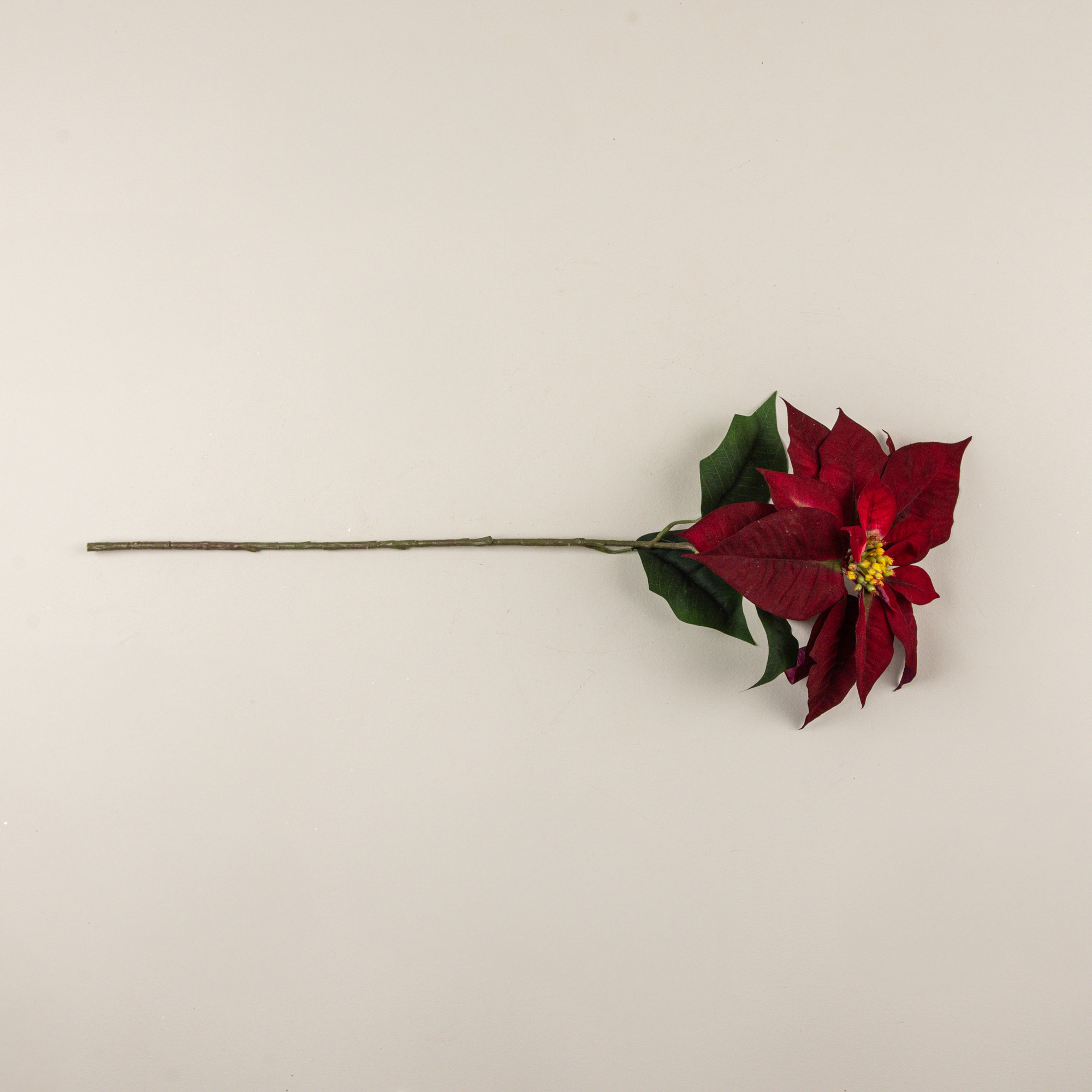 Burgundy Poinsettia Stem, 28", photo 4 of 4