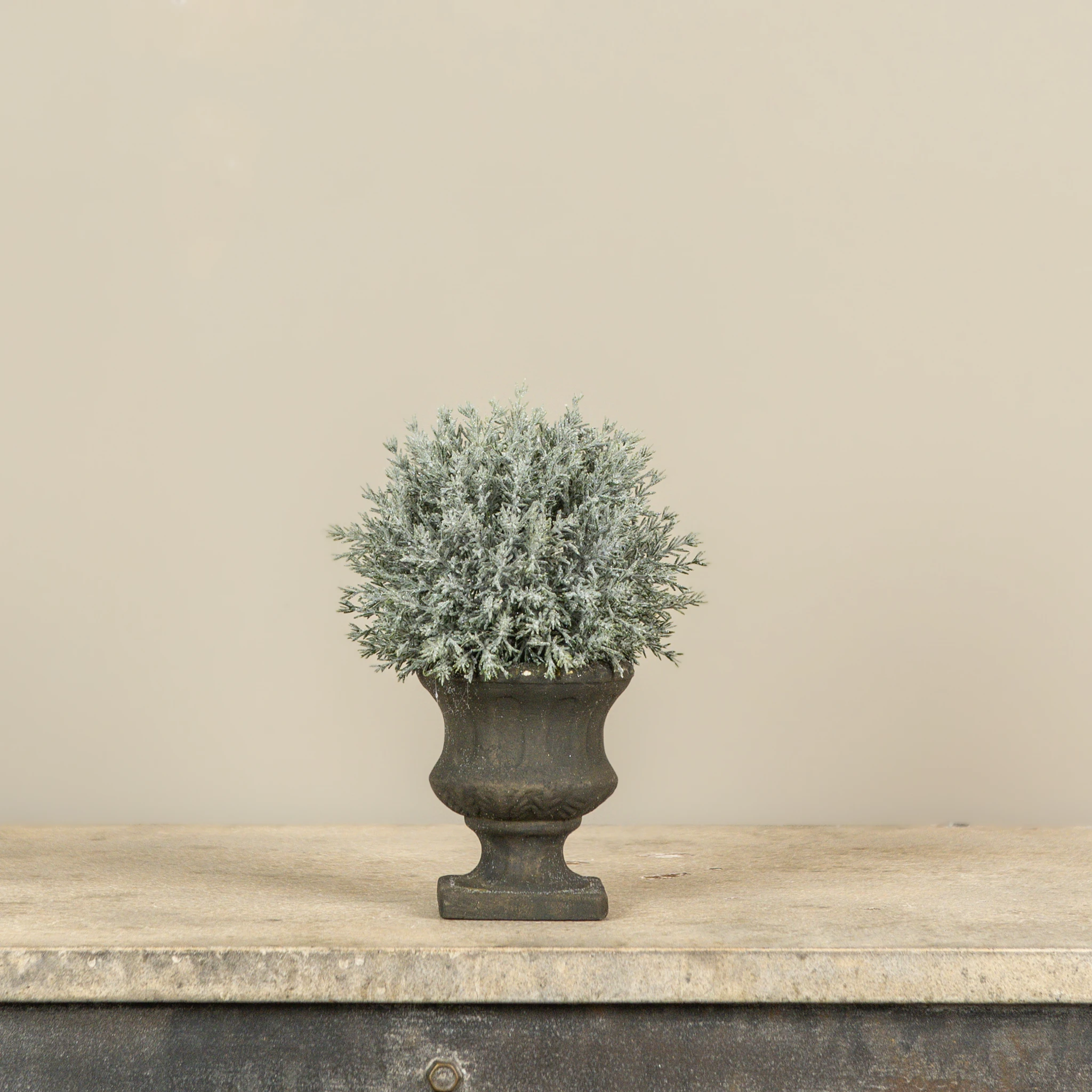 Prickly Pine Ball in Urn, 8"