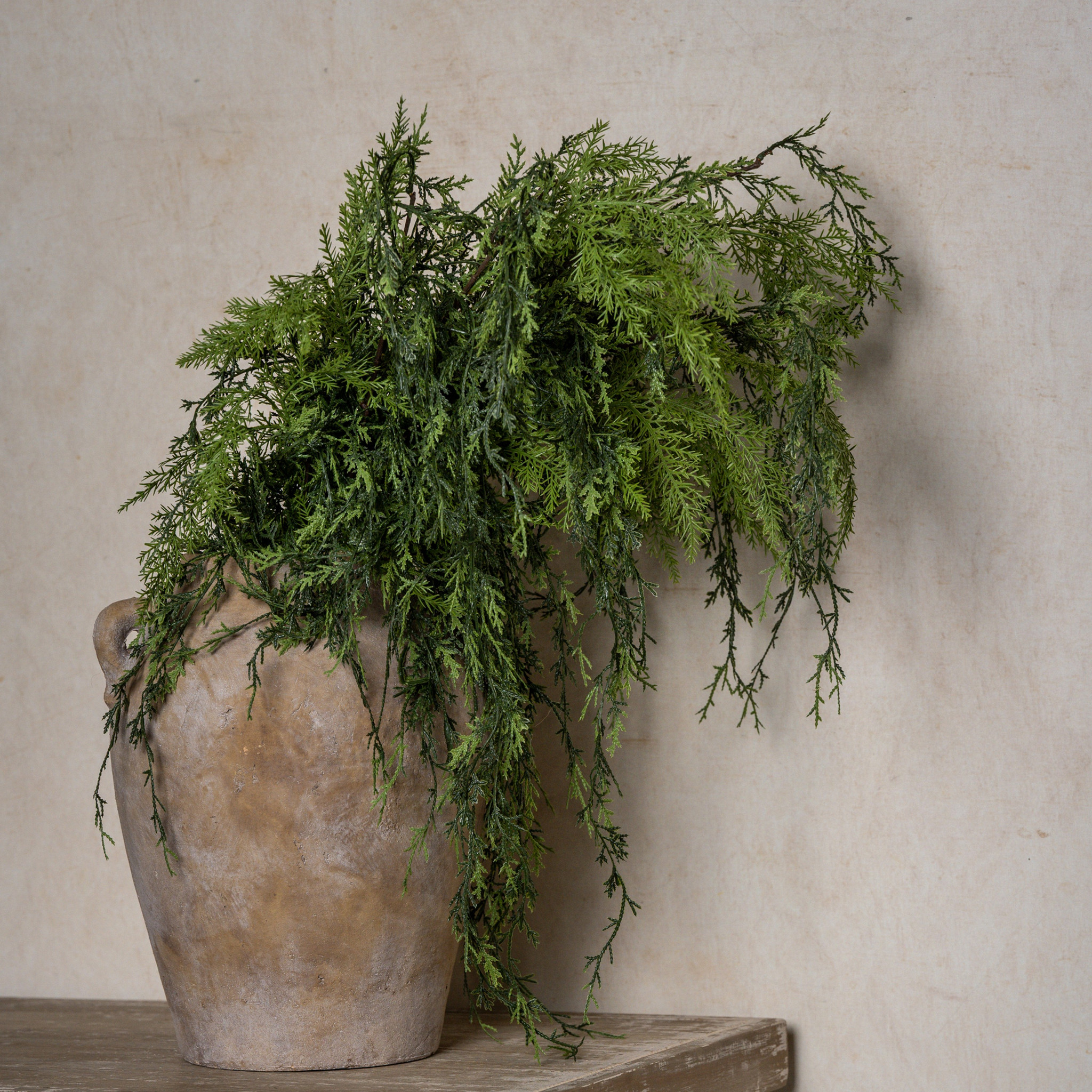 Weeping Cedar Spray, 46", photo 4 of 4
