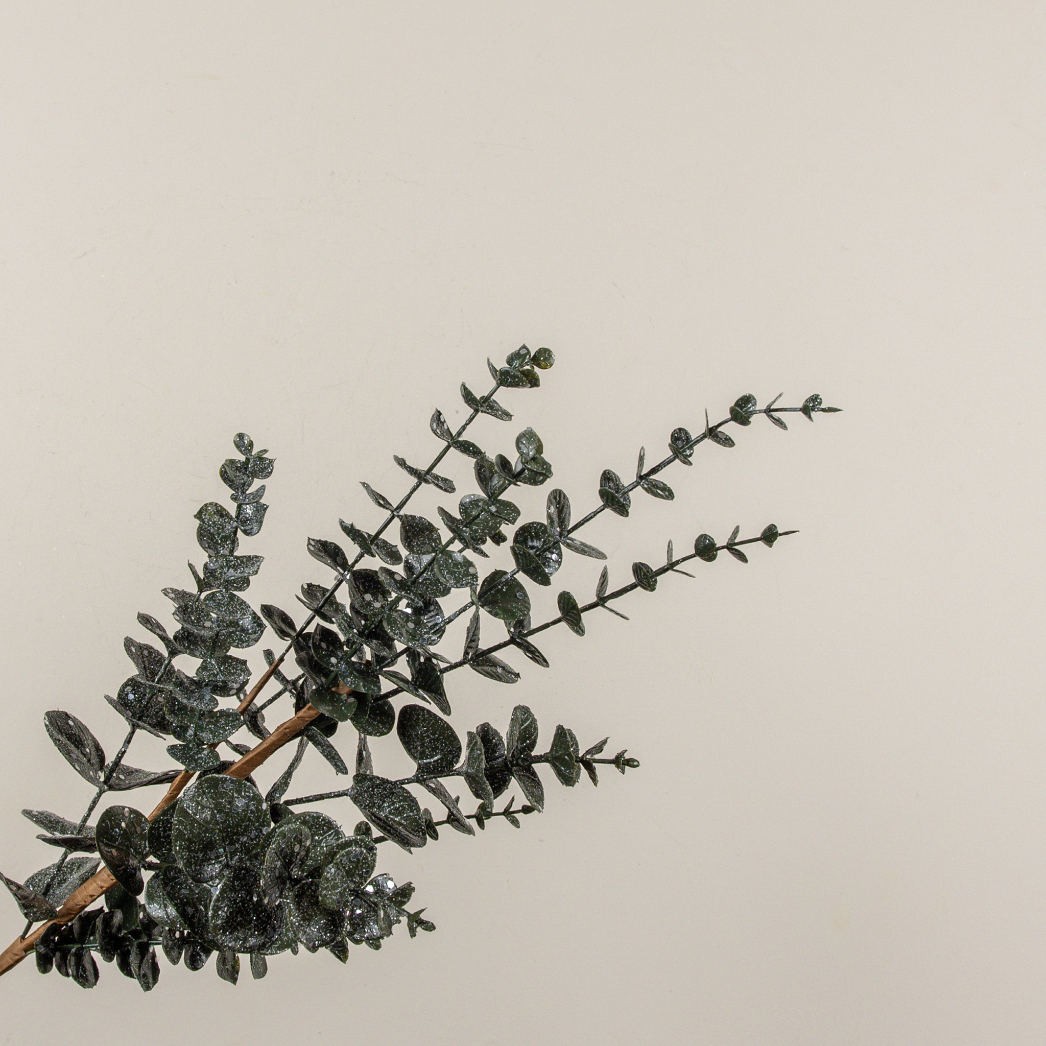 Glittered Dark Green Eucalyptus Spray, 26", photo 2 of 4