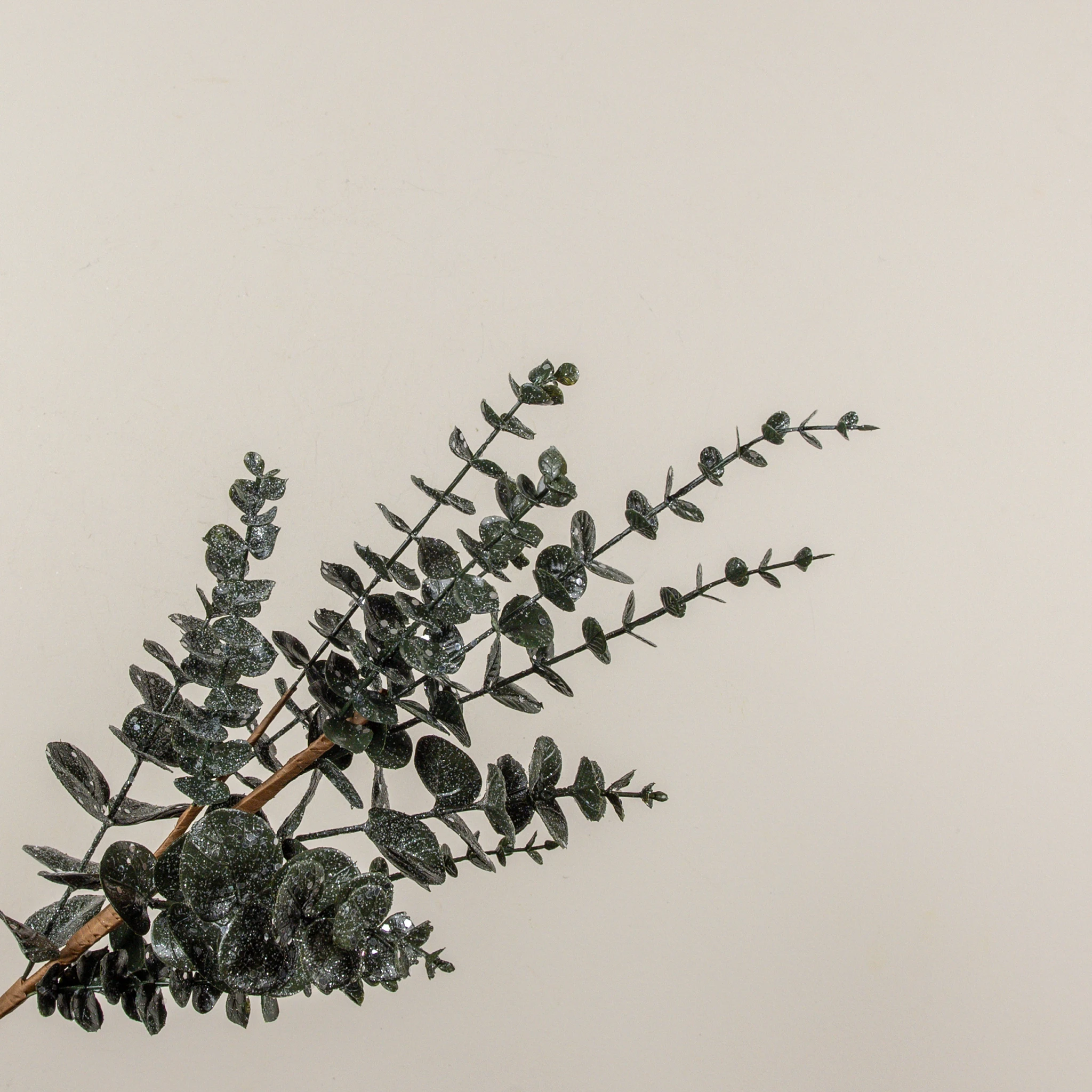 Glittered Dark Green Eucalyptus Spray, 26", photo 2 of 4