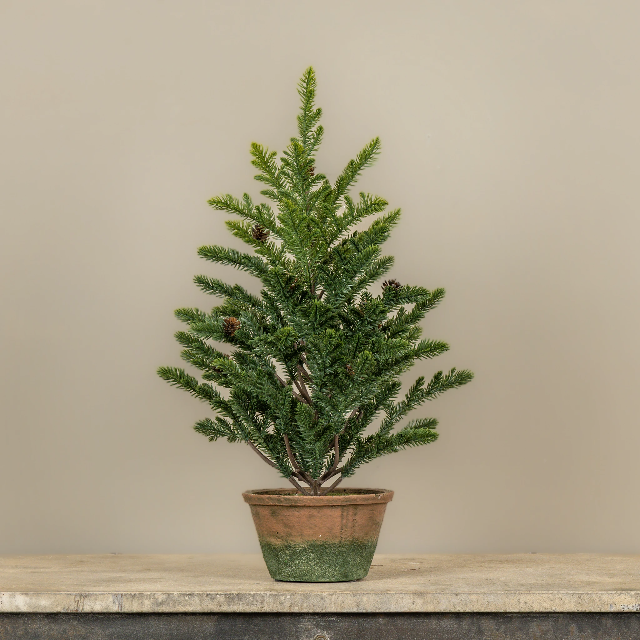 Percy Pine Tree in Pot, 21", photo 2 of 3