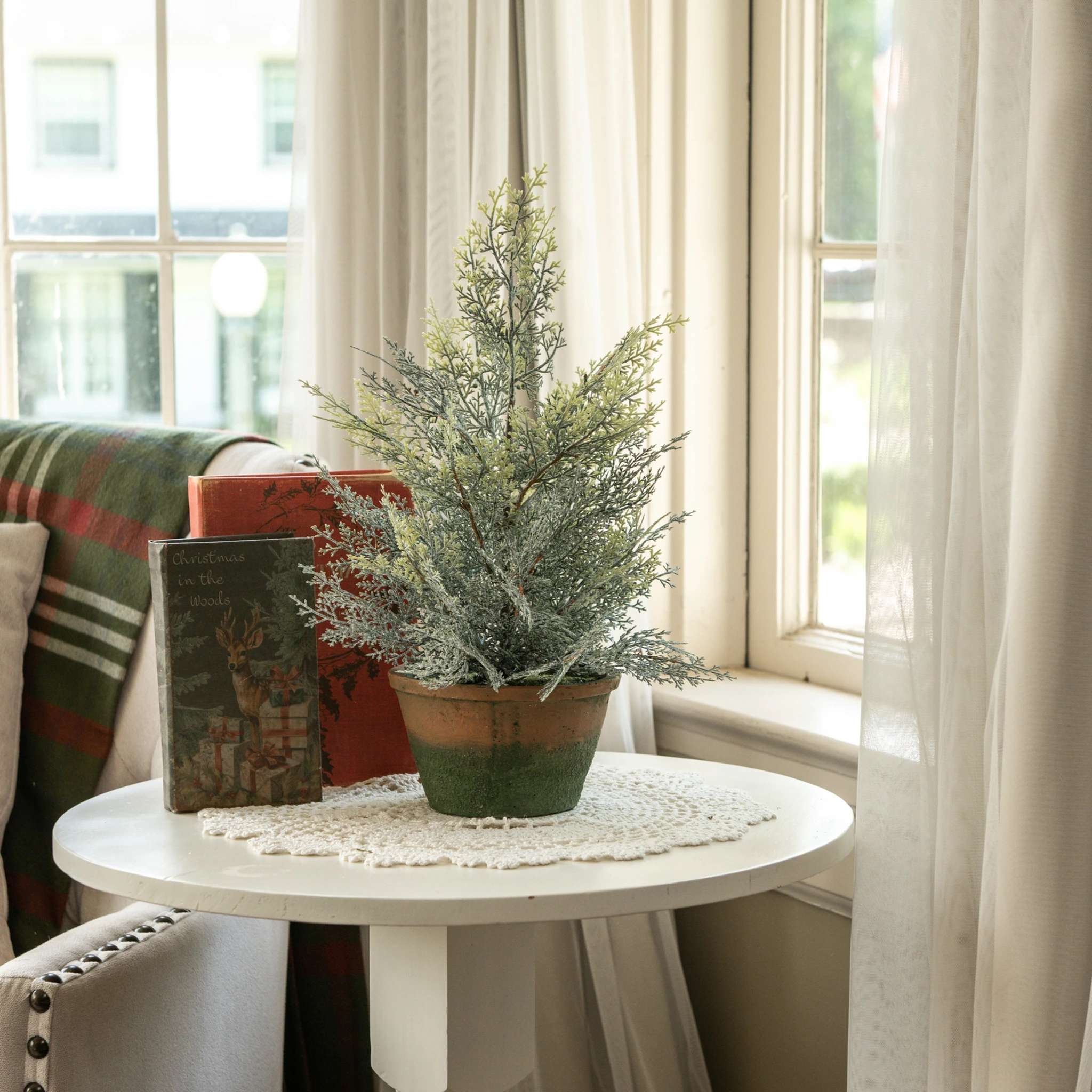 Dusty Cedar Pine Tree in Pot, 17"