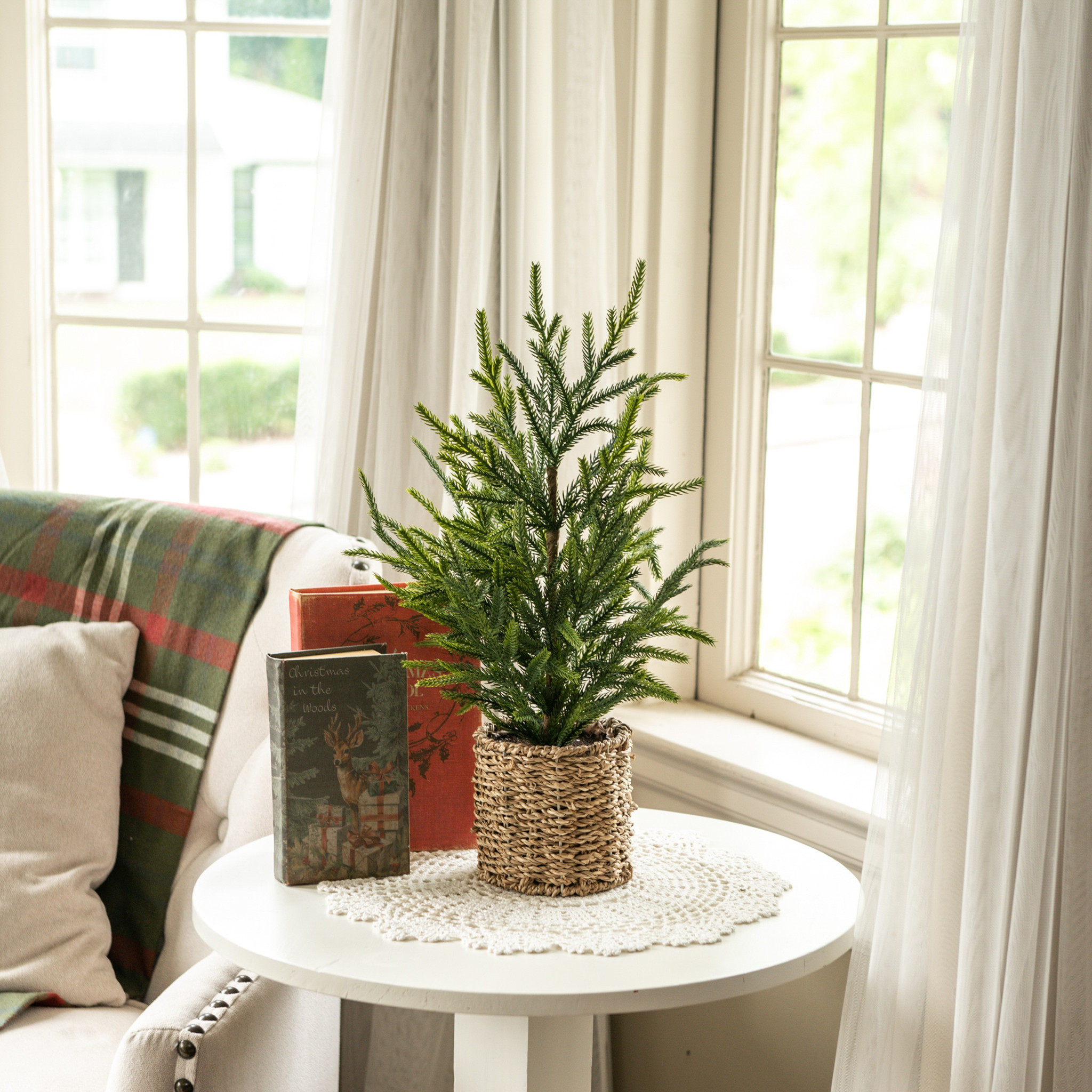 Austrian Pine Tree in Basket, 19"