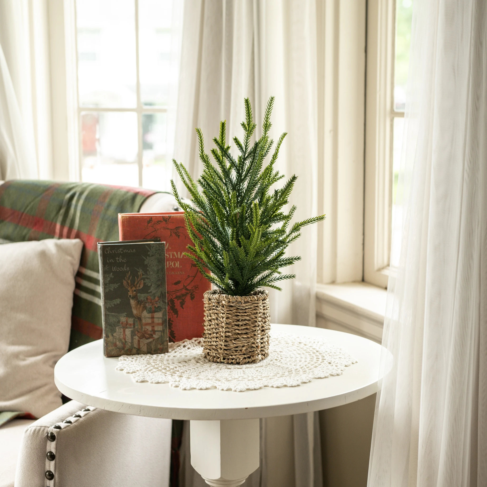 Austrian Pine Tree in Basket, 15", photo 2 of 4
