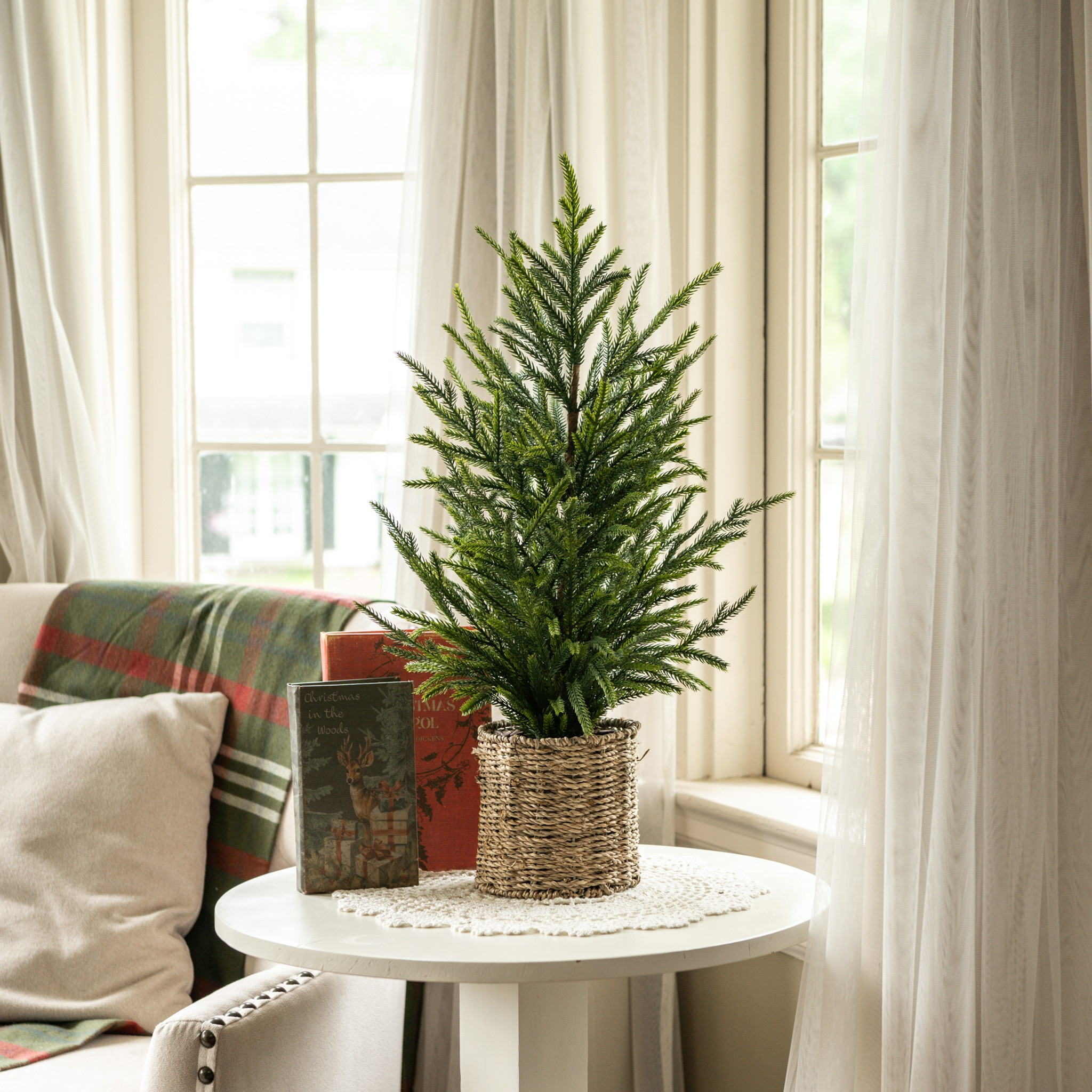 Austrian Pine Tree in Basket, 25"