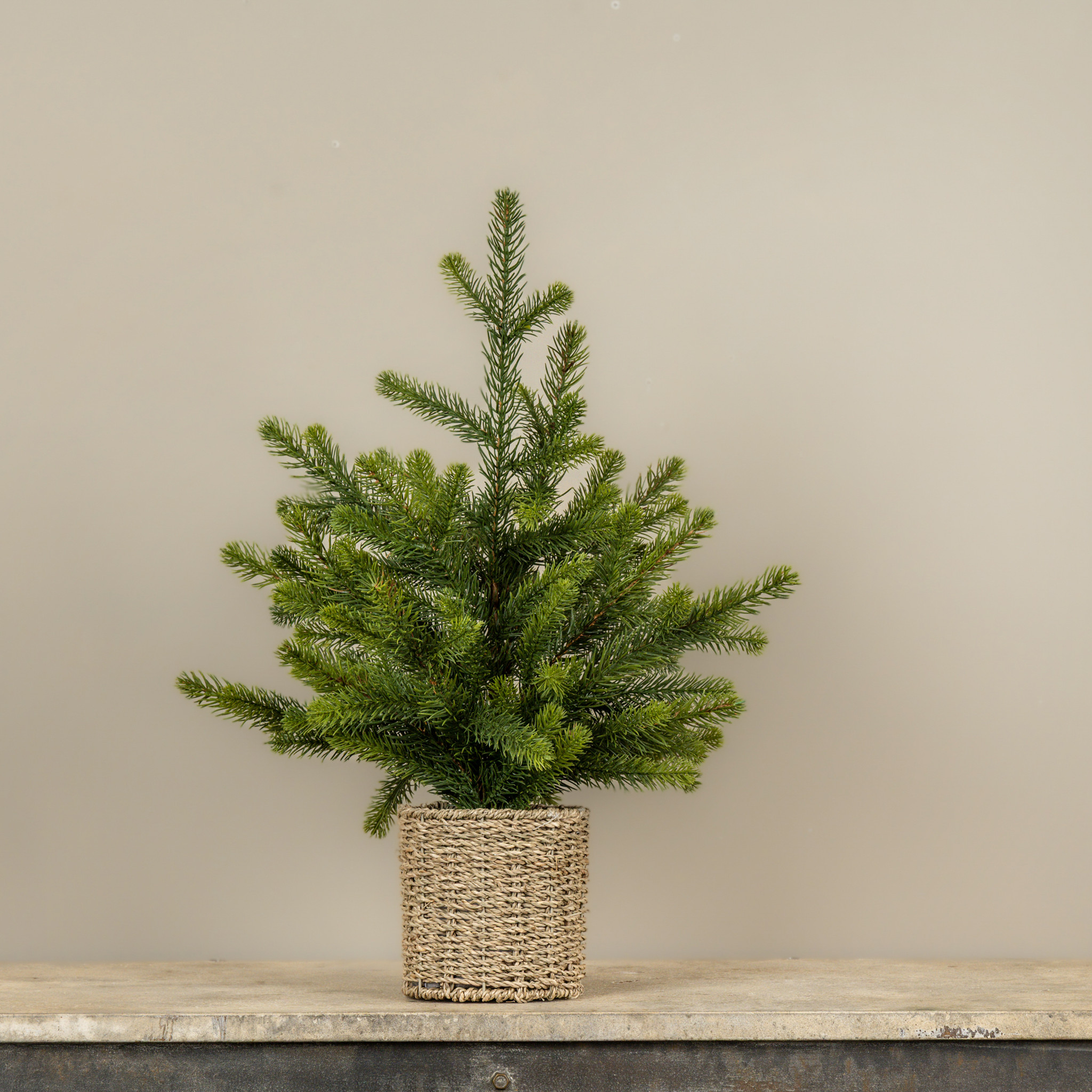 Pine Tree in Basket, 25", photo 2 of 3