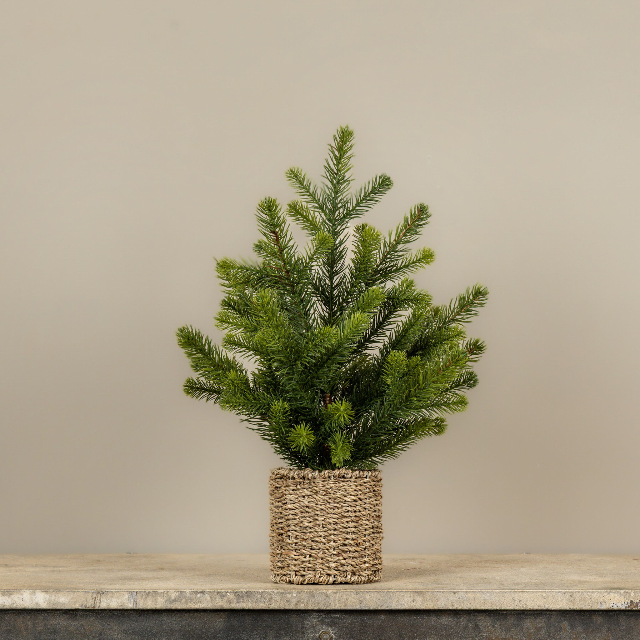 Pine Tree in Basket, 20", photo 2 of 3