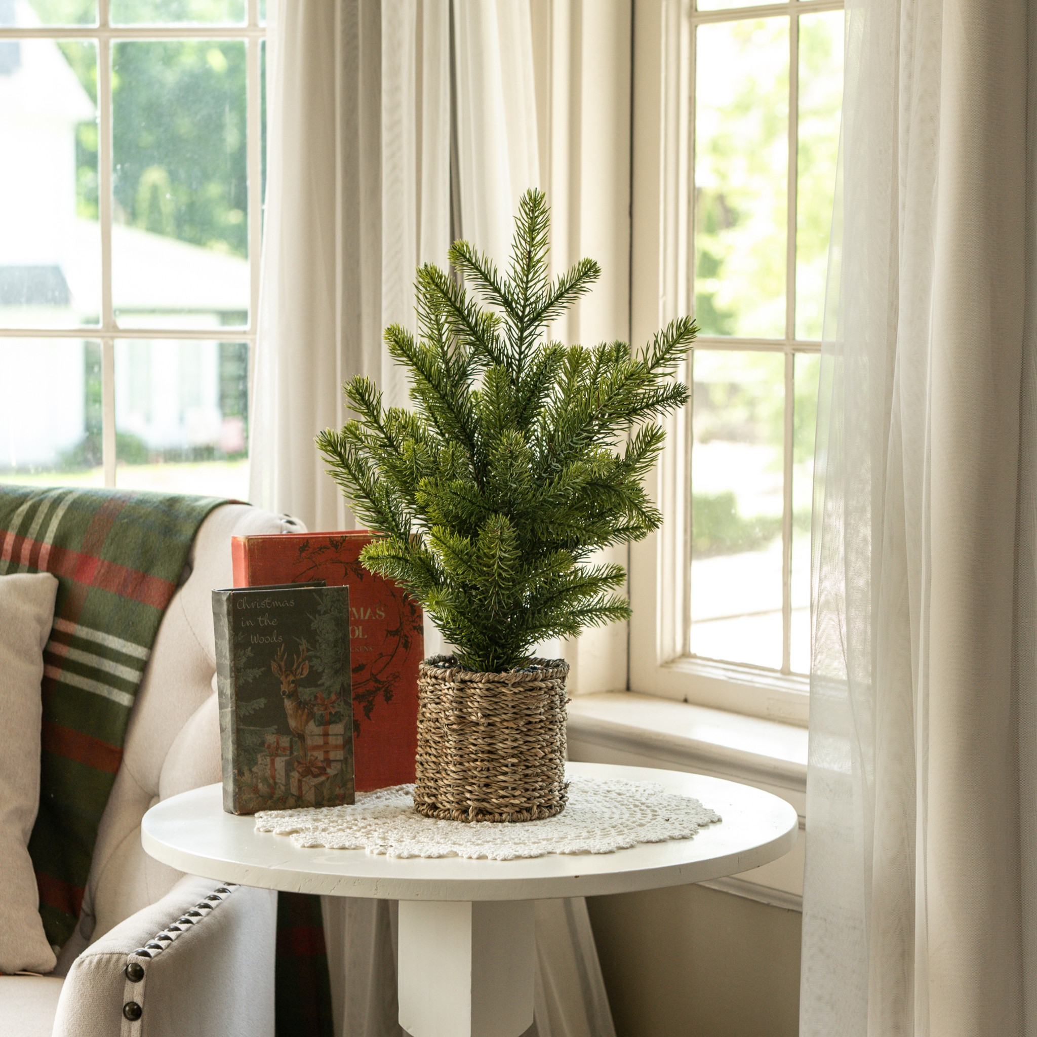 Pine Tree in Basket, 20"