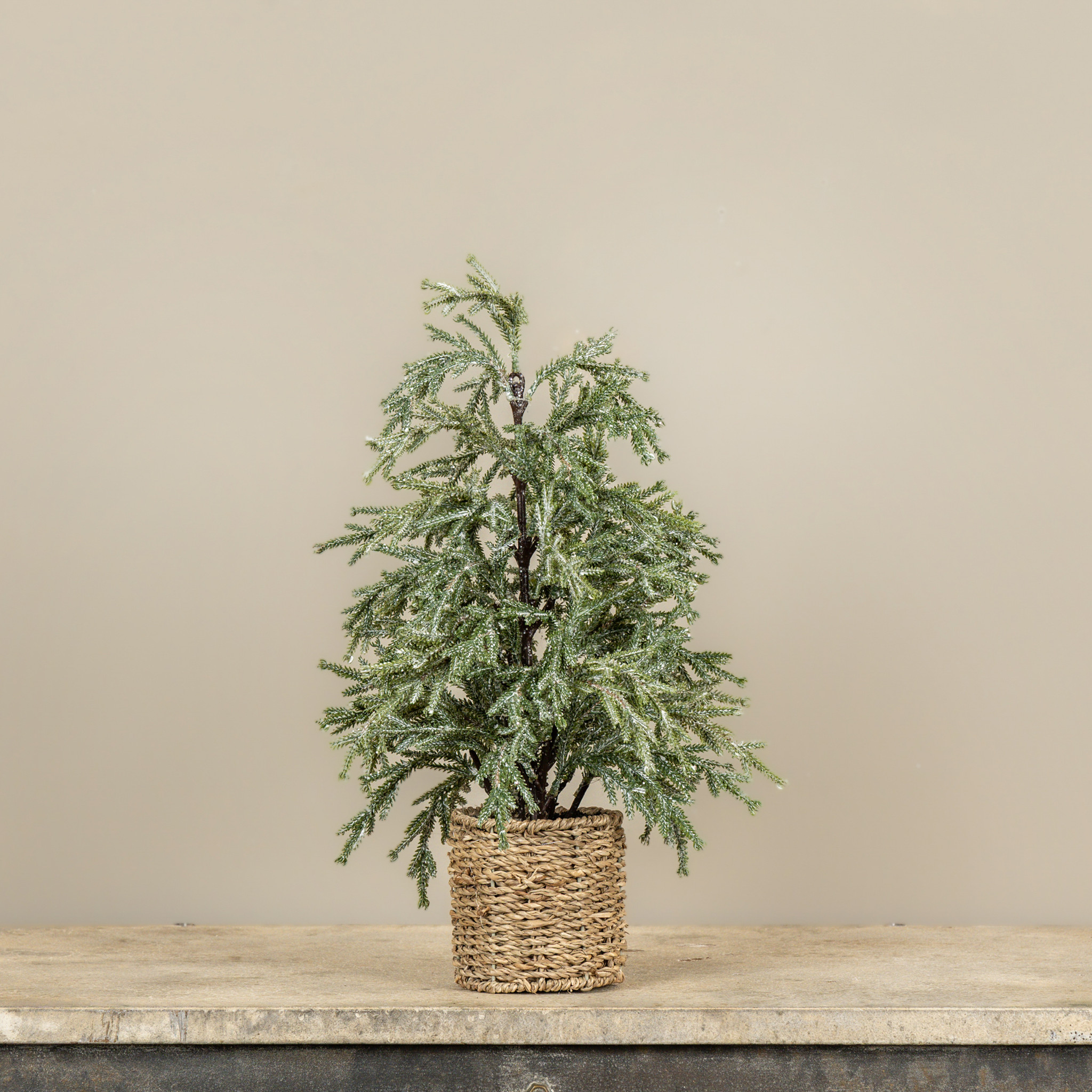 Frosted Pine Tree in Basket, 18"