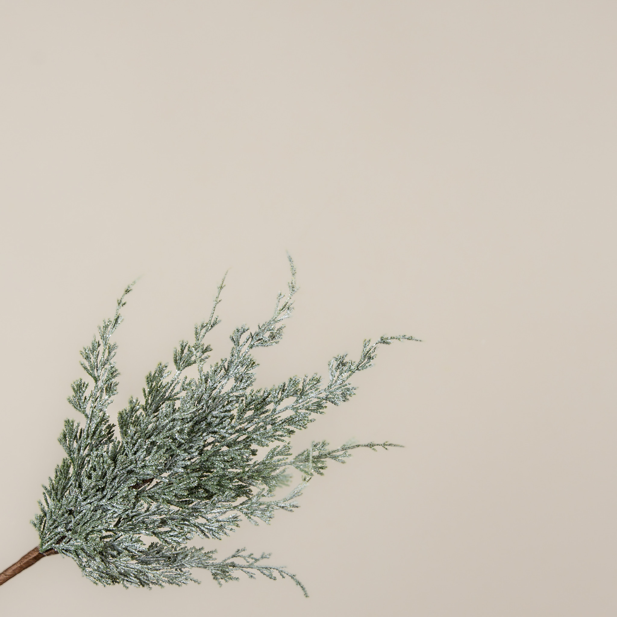 Glittered White Cypress Spray, 18", photo 2 of 4