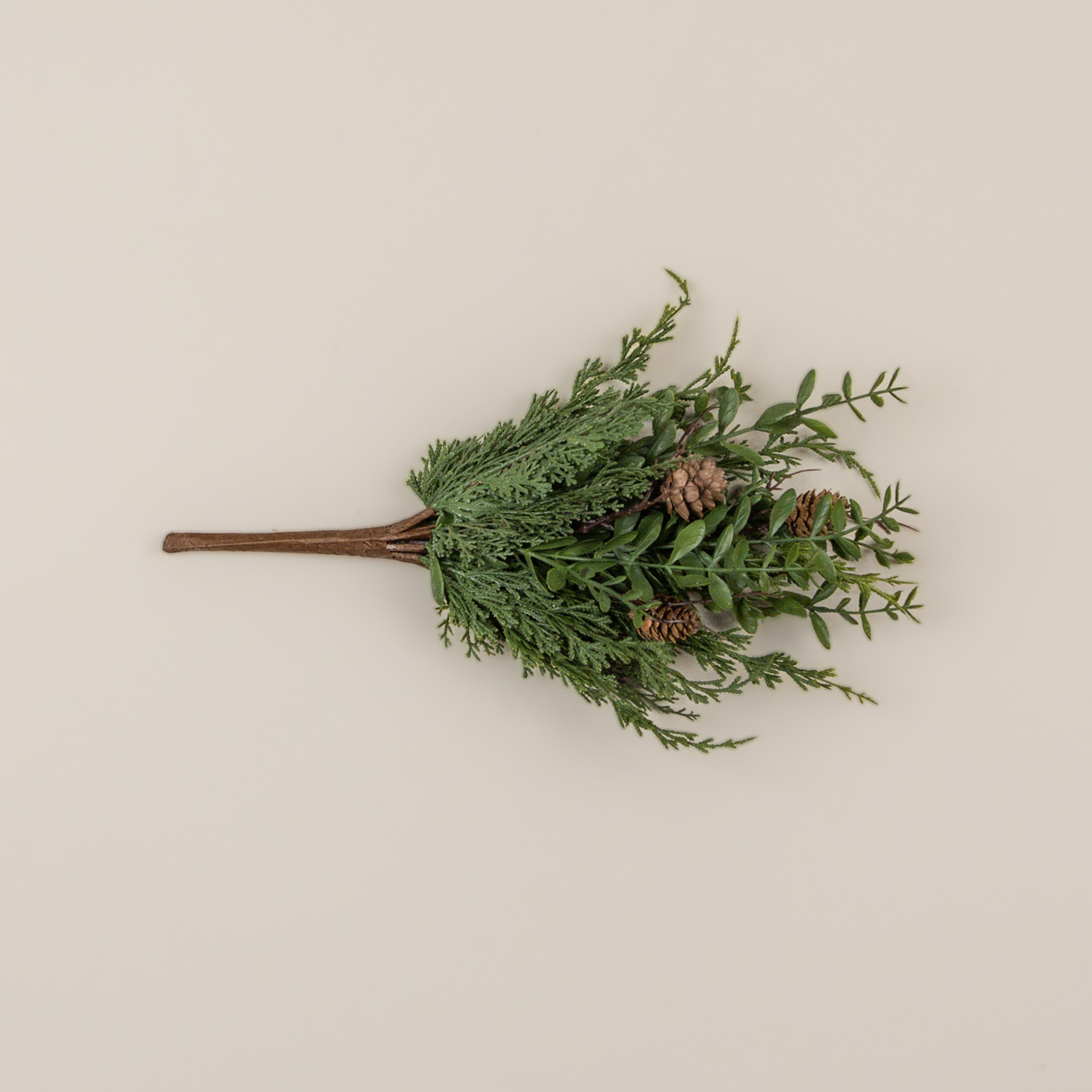 Cypress & Ruscus Bush, 17", photo 4 of 5