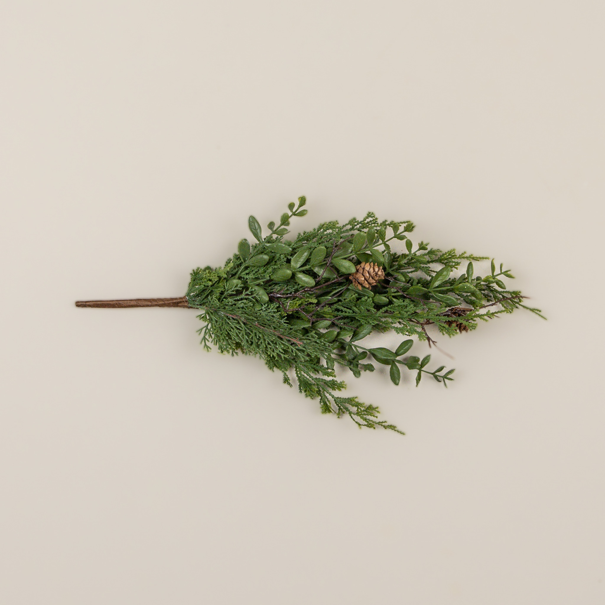 Cypress & Ruscus Pick, 17", photo 4 of 5