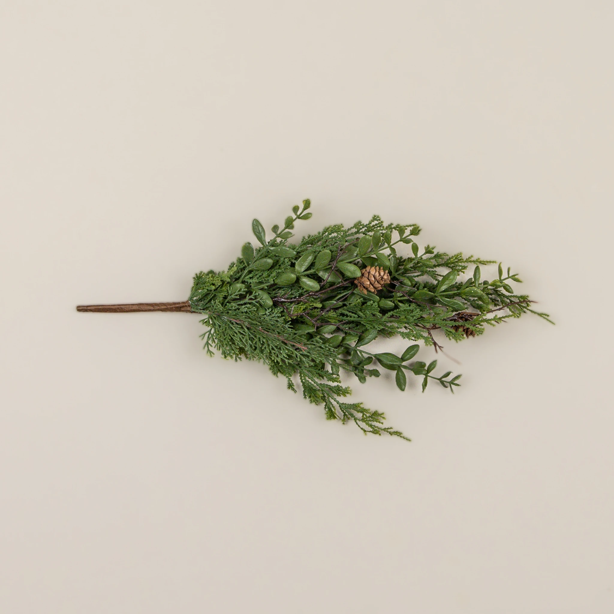 Cypress & Ruscus Pick, 17", photo 4 of 5