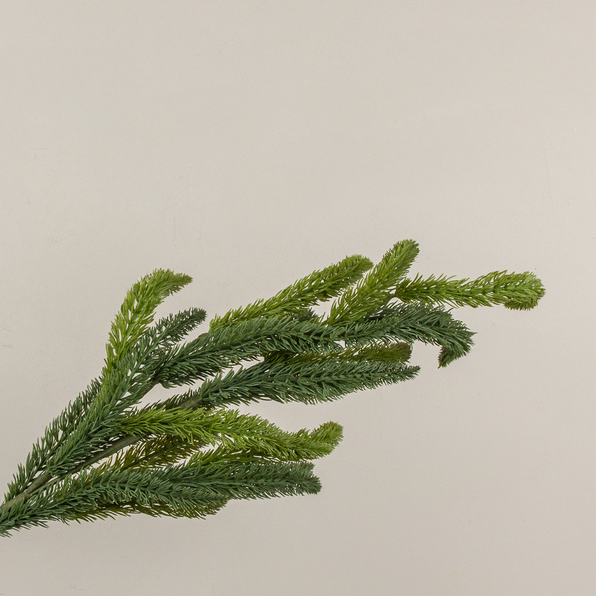 Japanese Cedar & Pine Pick, 37", photo 3 of 5