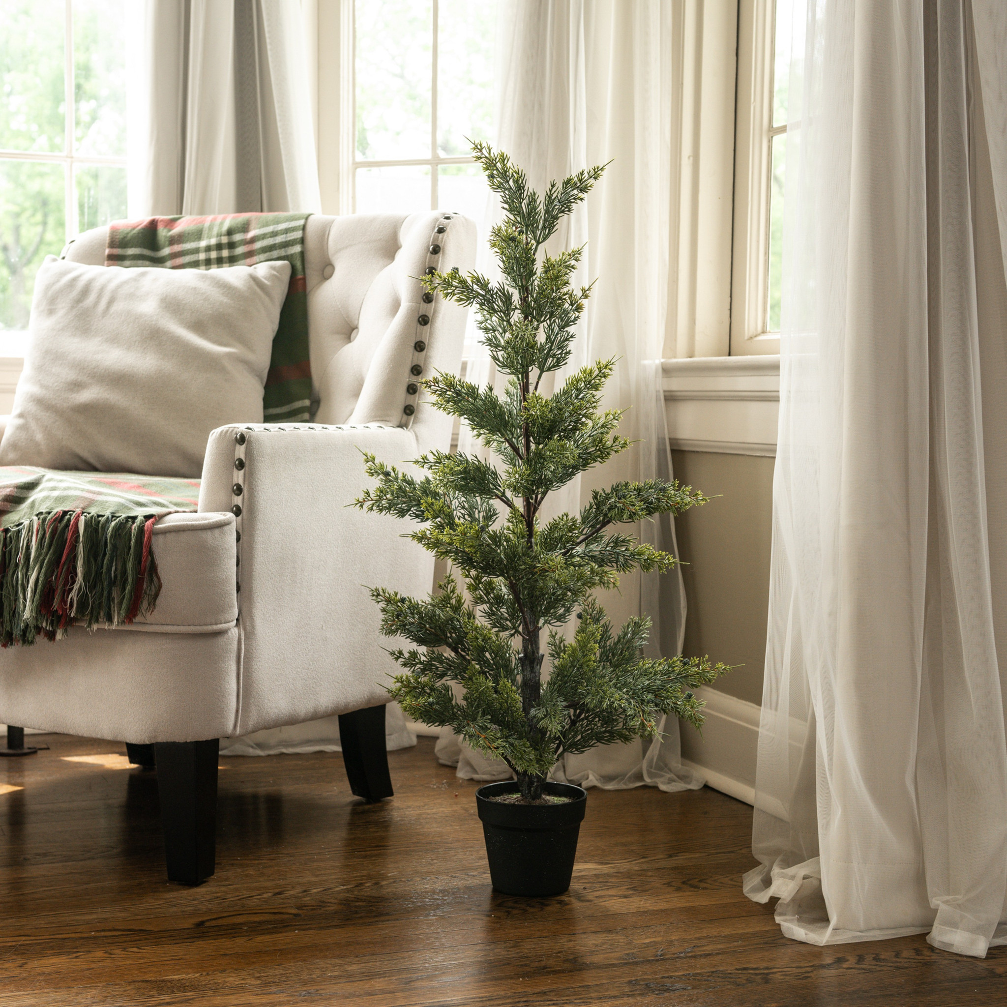 Juniper Tree in Pot, 37"