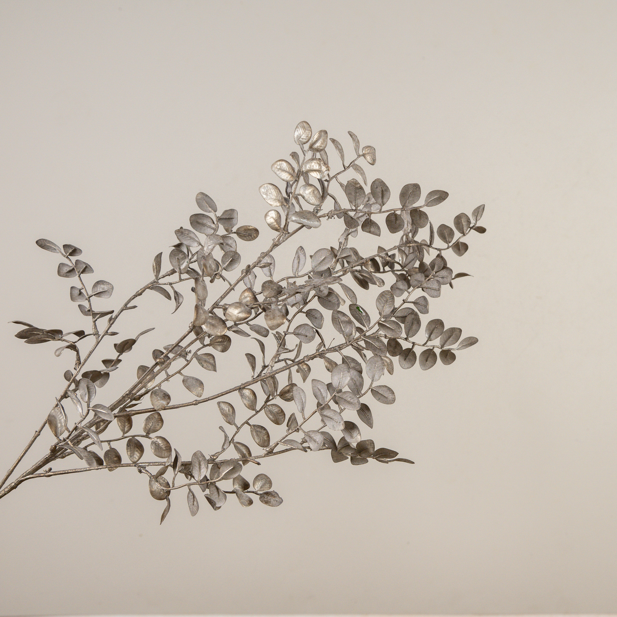 Metallic Grey Boxwood Spray, 37", photo 2 of 4
