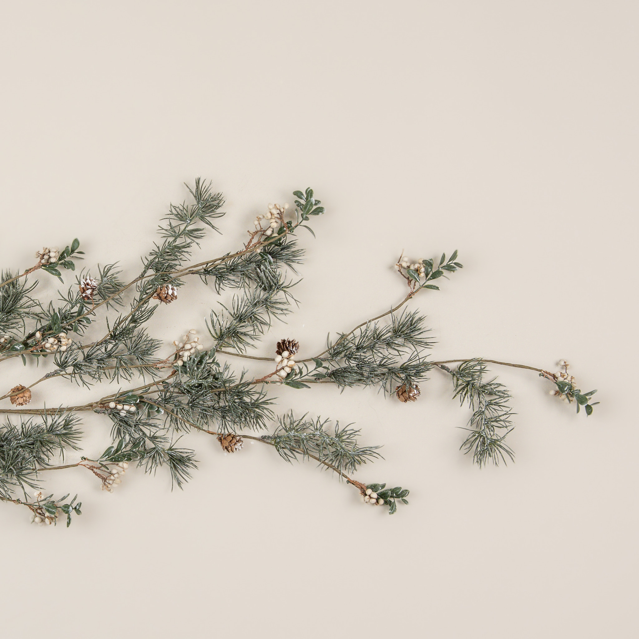 Pine with Cream Berries Hanging Bush, 47.25 ft, photo 2 of 4
