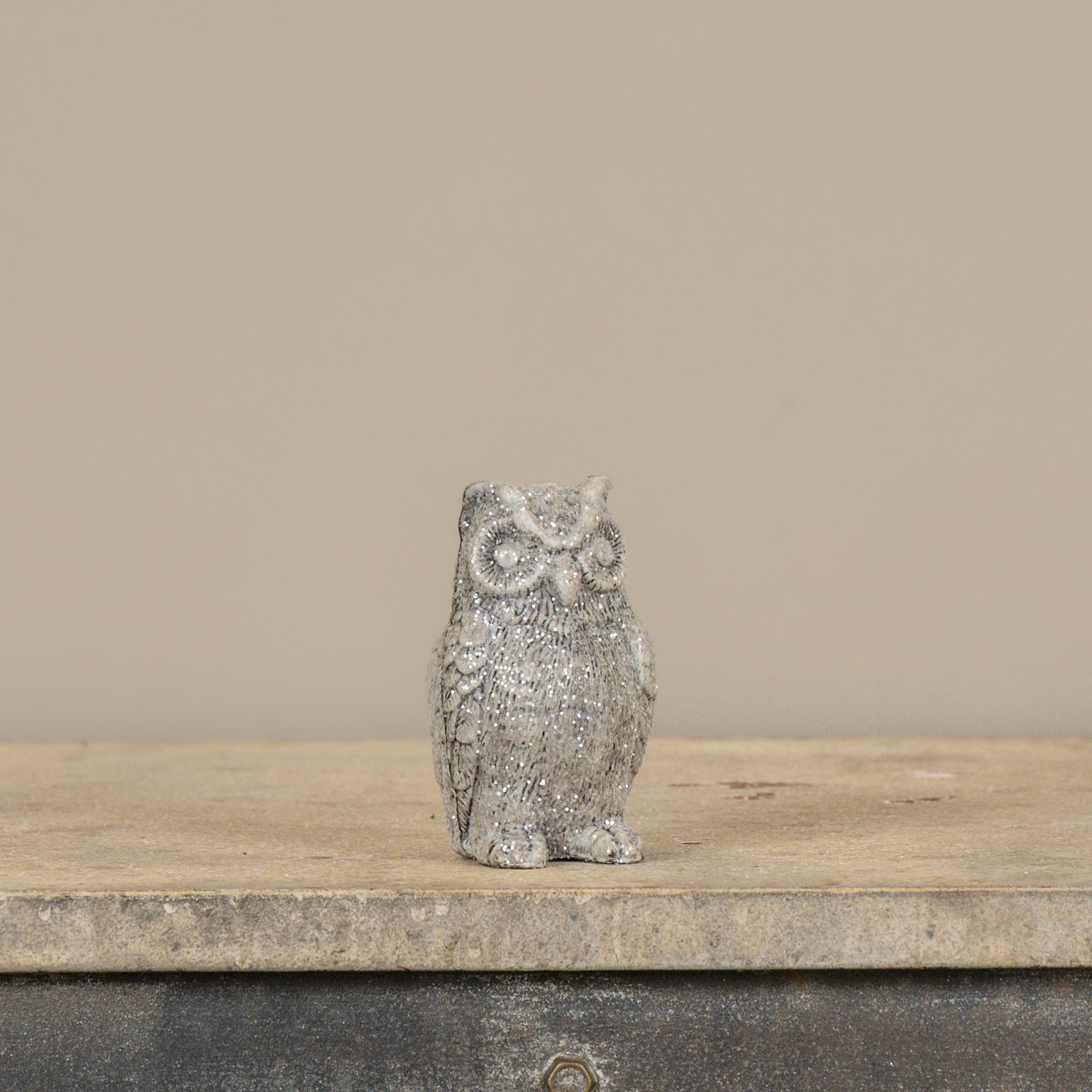Glittery Small Owl, photo 2 of 2