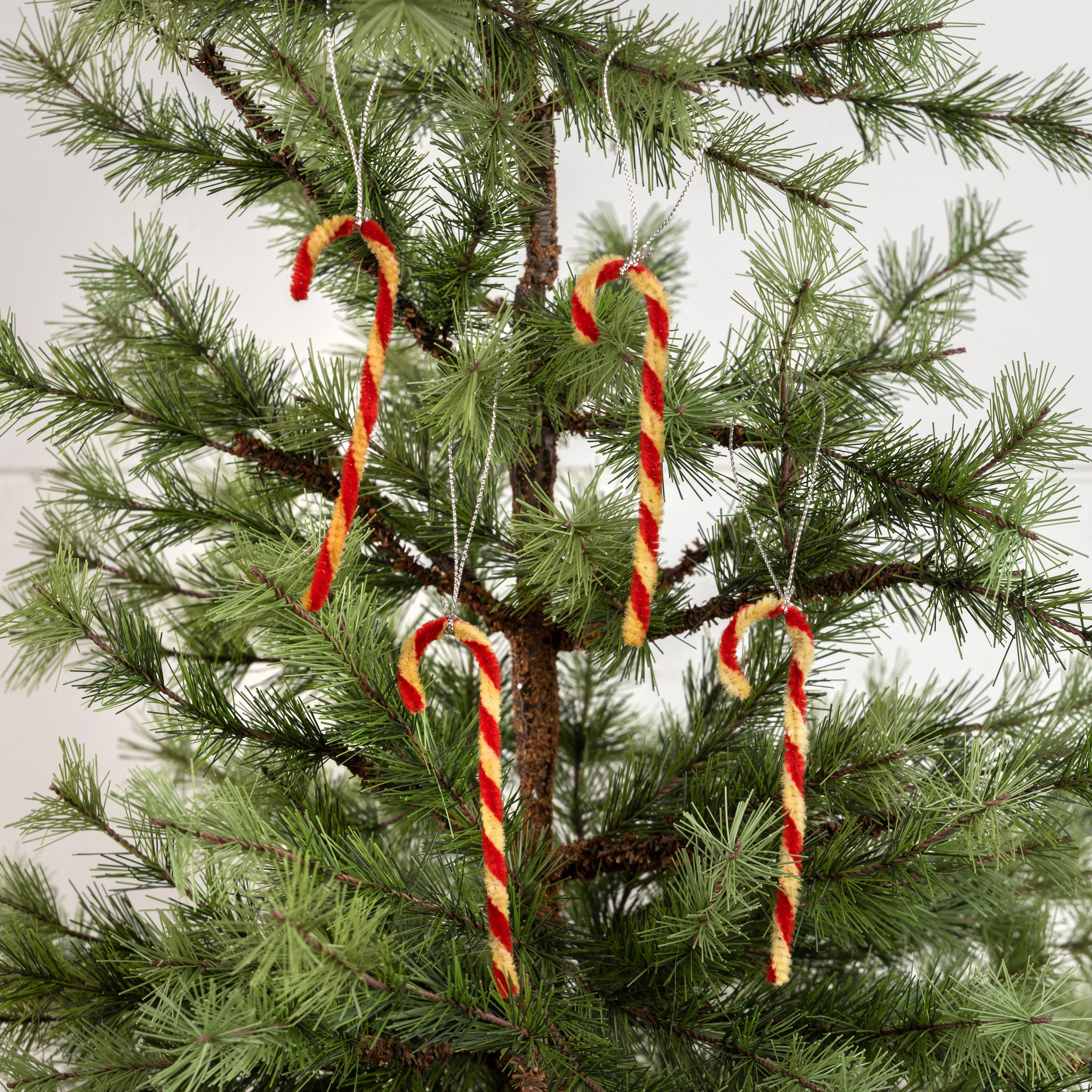 Mini Chenille Candy Cane Ornaments, Set of 12