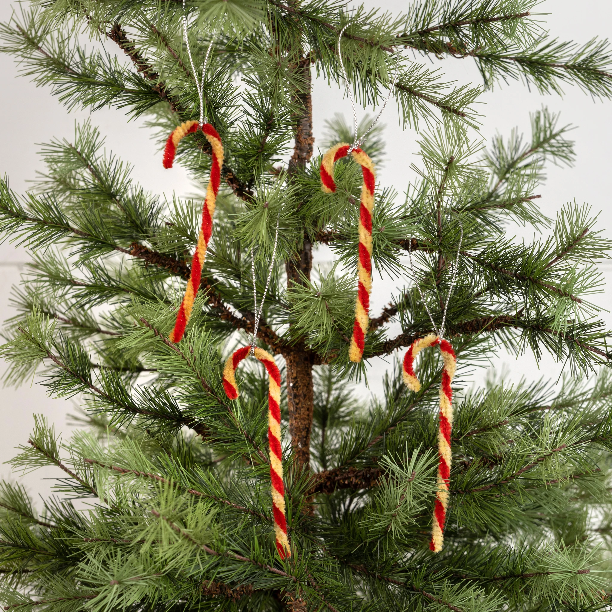 Mini Chenille Candy Cane Ornaments, Set of 12