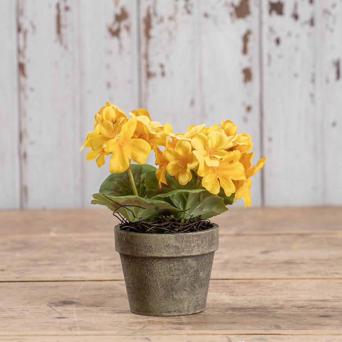 Yellow Potted Geranium, 7", photo 2 of 3