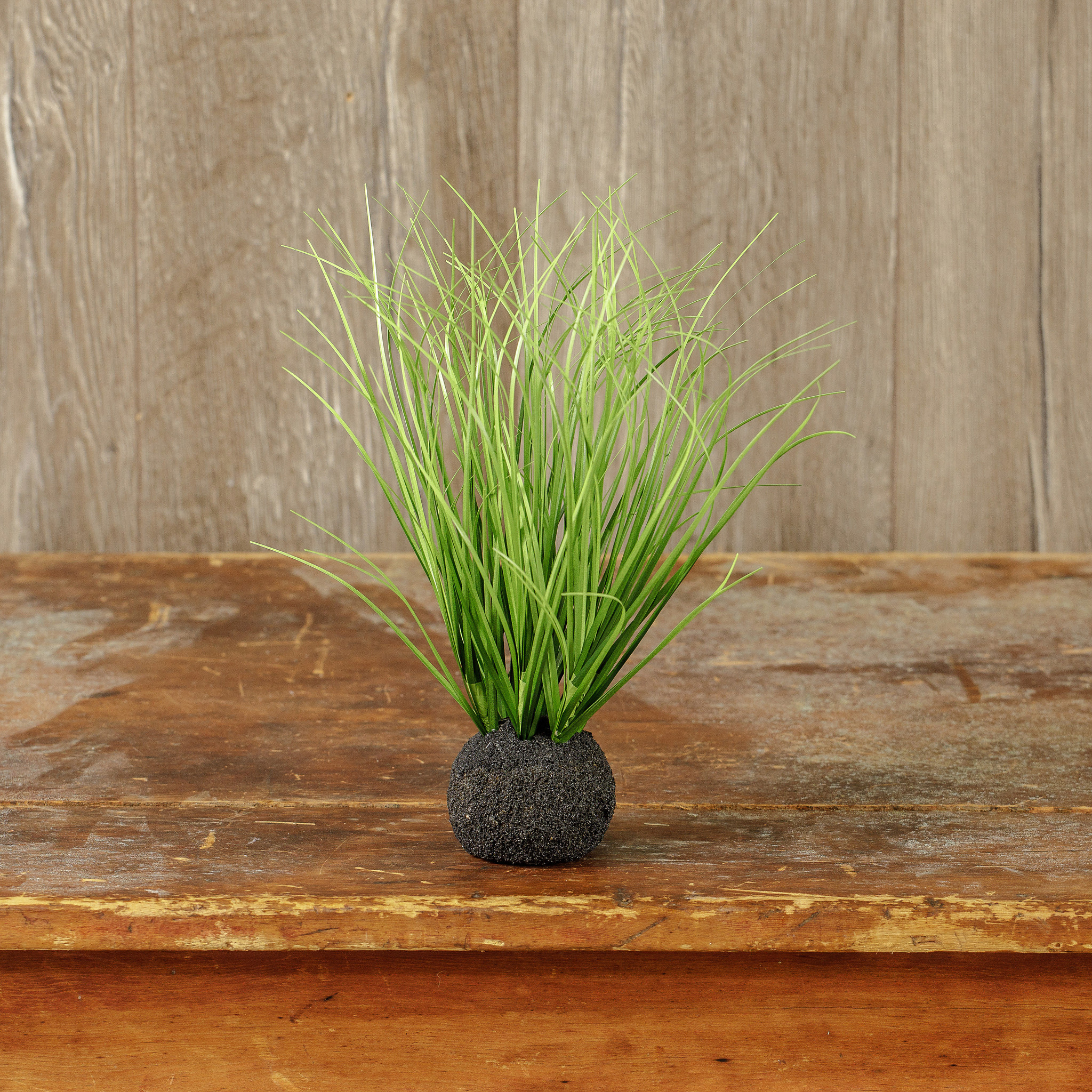 Wild Onion Grass Bulb, 10"