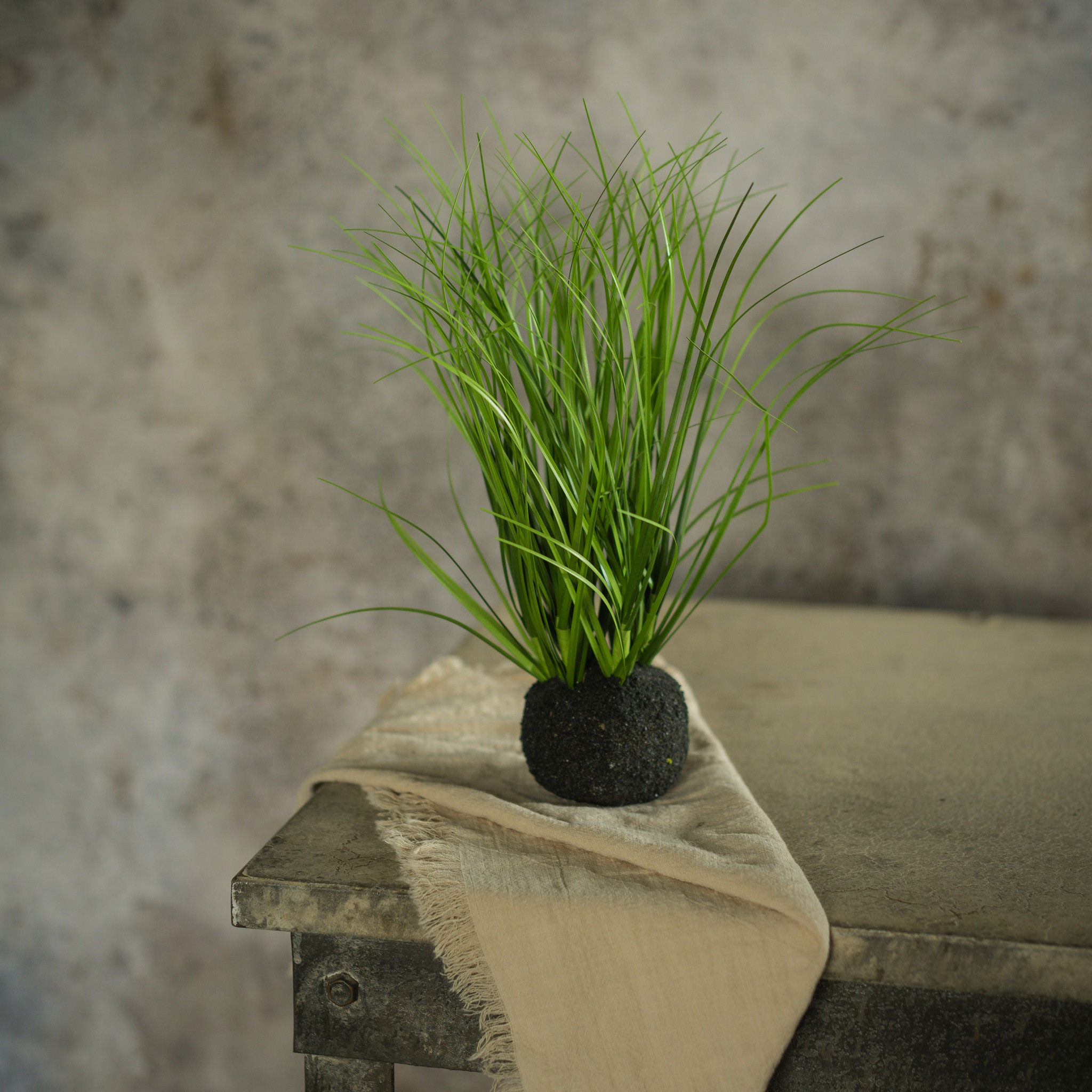 Wild Onion Grass Bulb, 10"