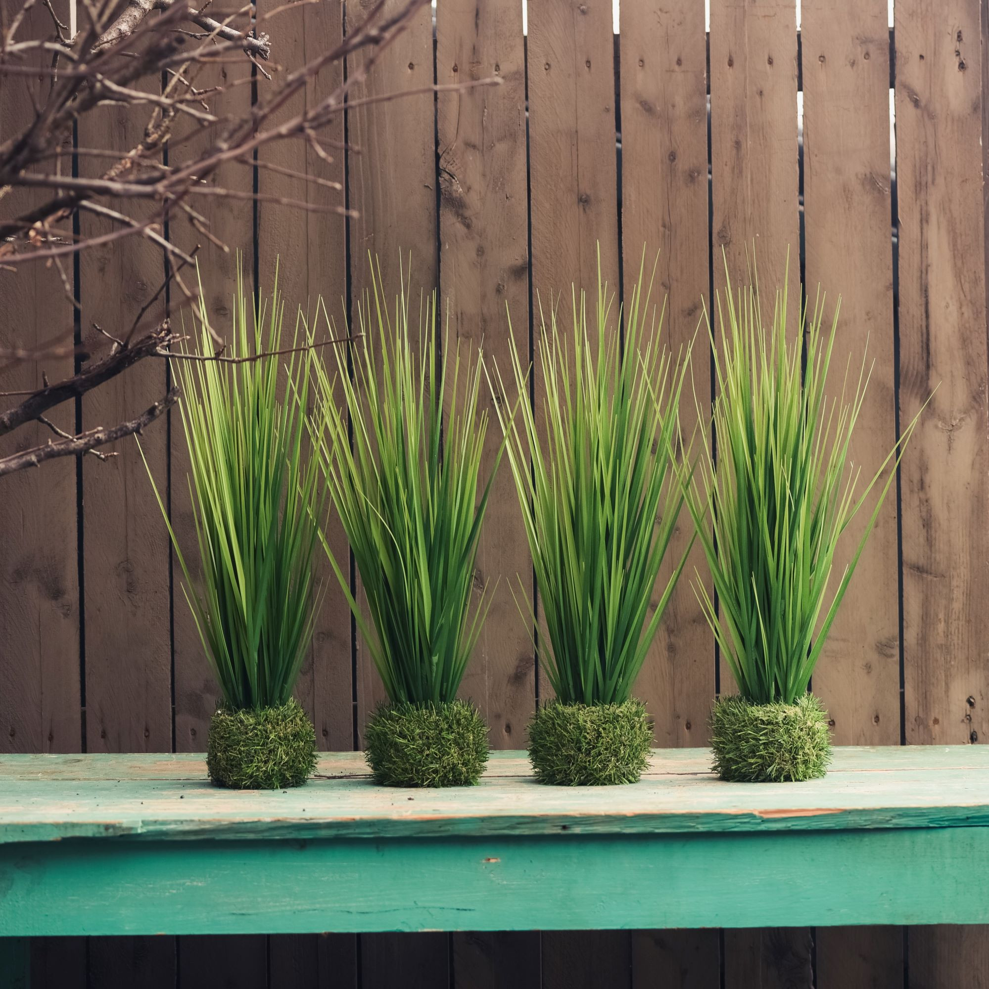 Onion Grass in Grass Base, 19.75", photo 2 of 3
