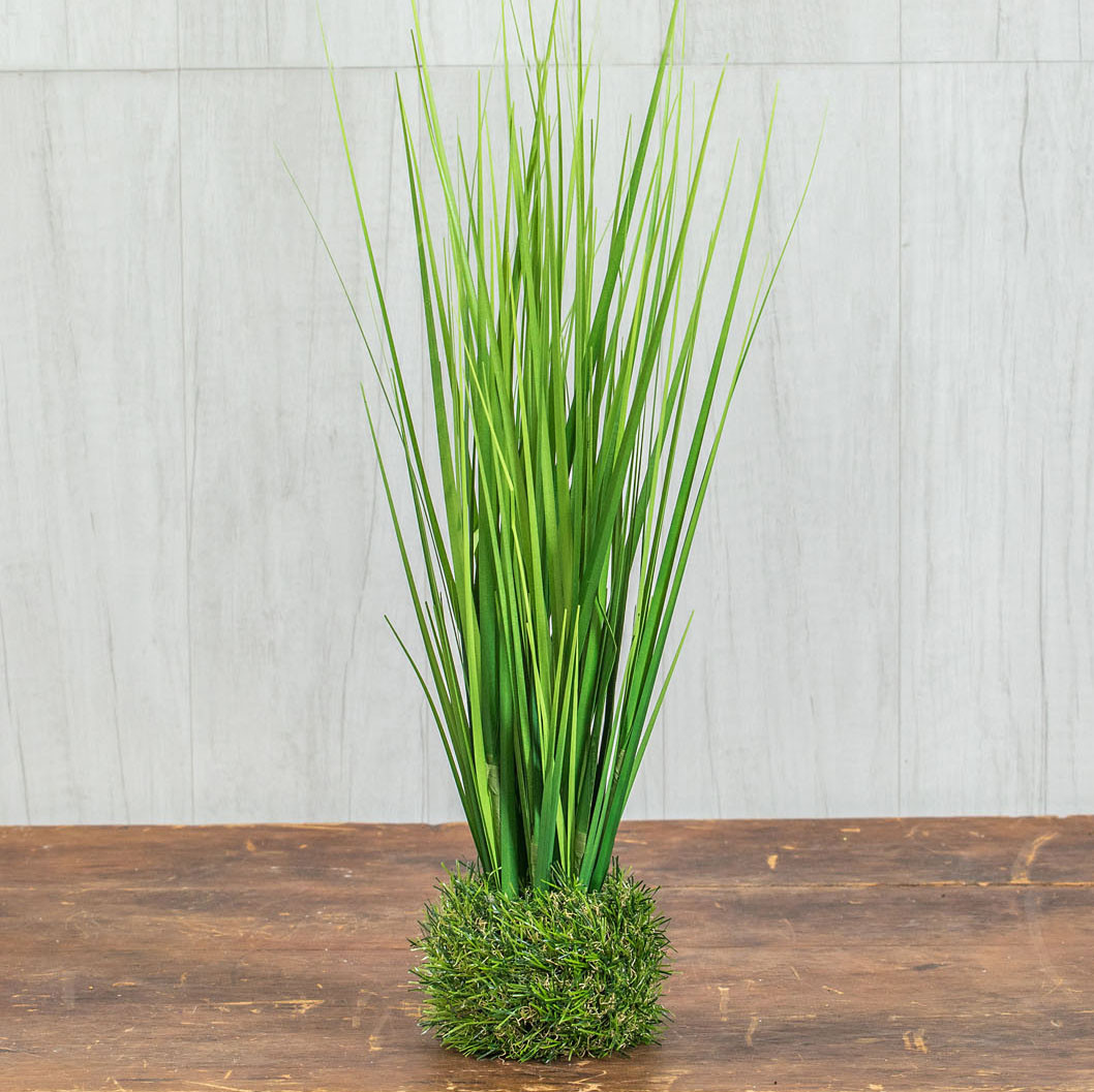 Onion Grass in Grass Base, 19.75", photo 3 of 3