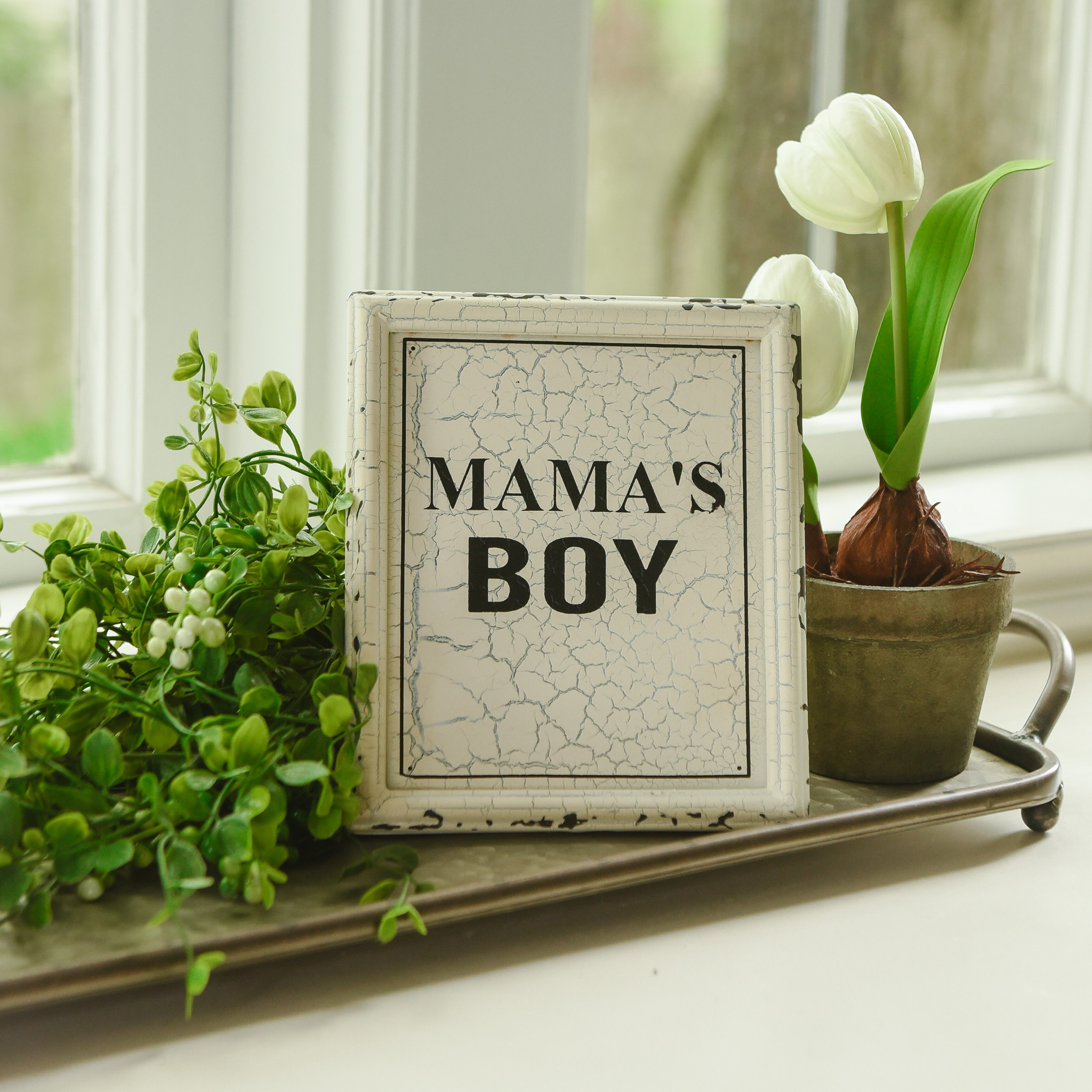 Mama's Boy Sign, photo 3 of 4