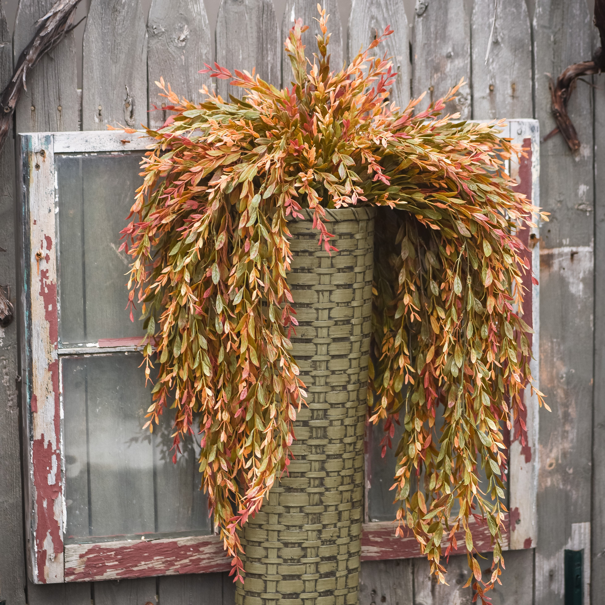 Green & Red Common Boxwood Hanging Bush, 34.5", photo 3 of 4