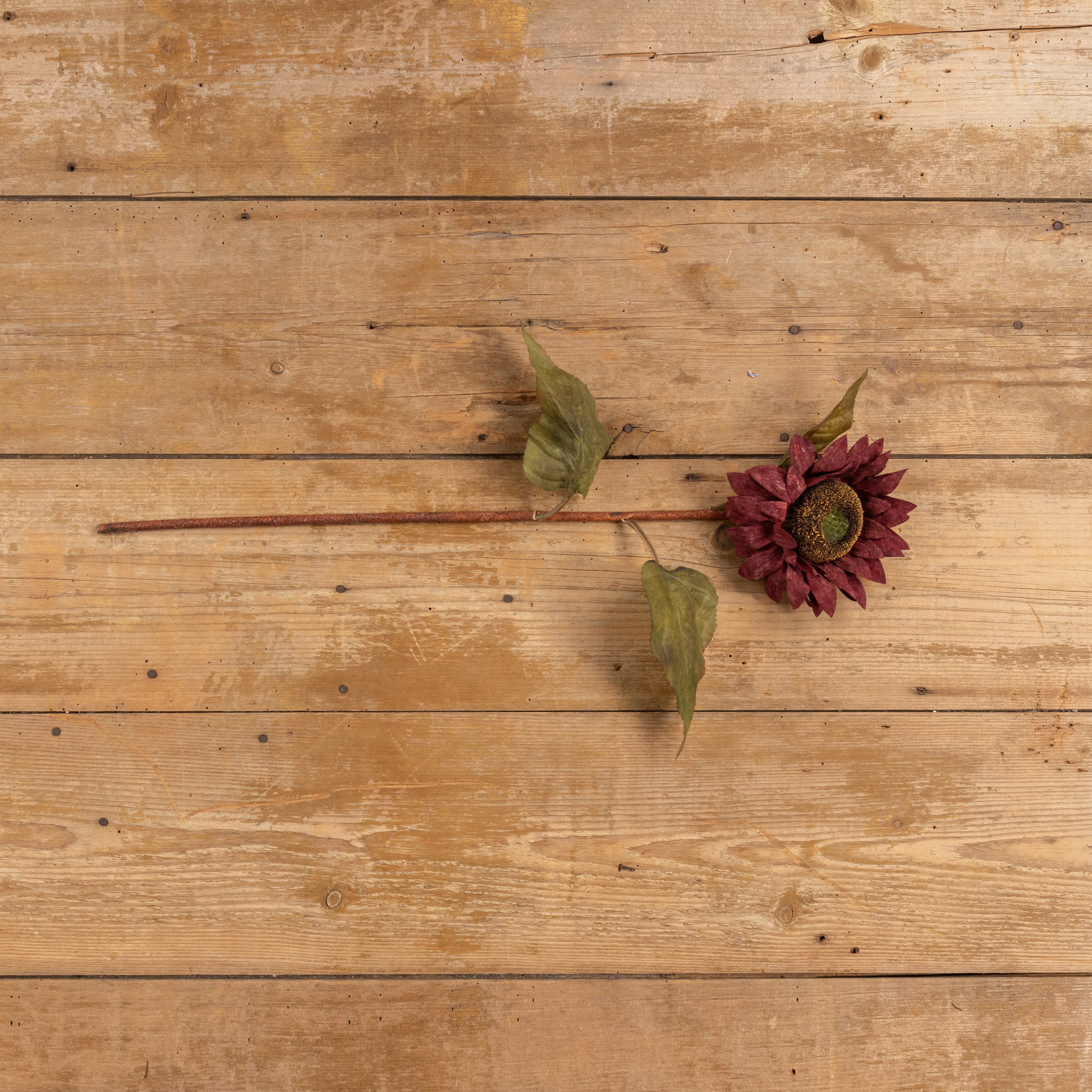 Wine Sunflower Stem, 27", photo 4 of 6