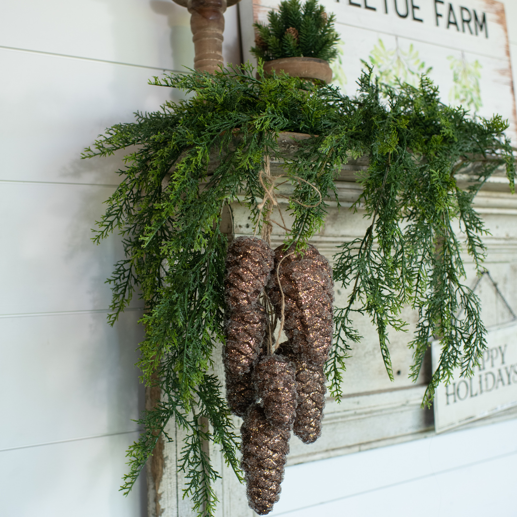 Red Cedar Hanging Bush, 34", photo 8 of 8
