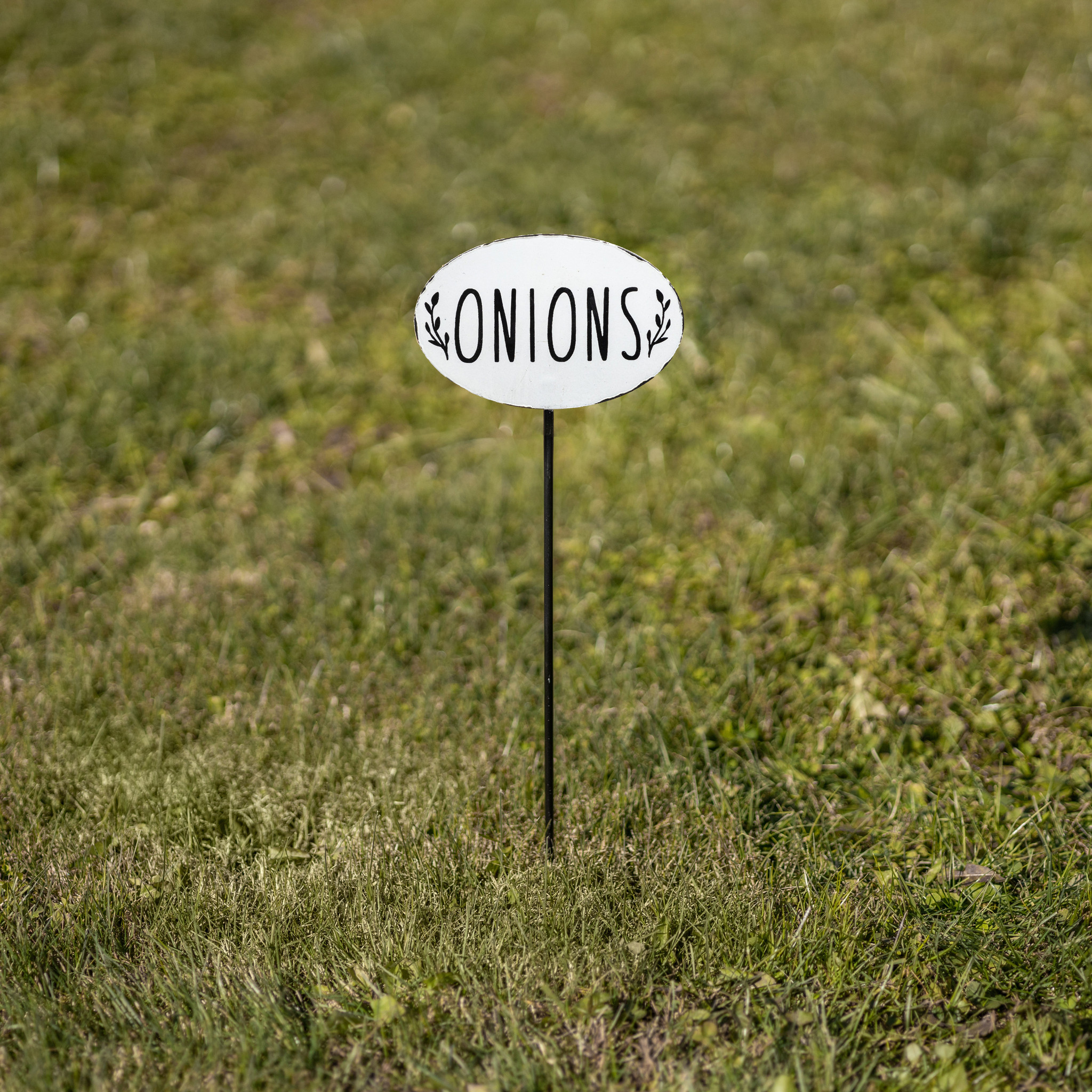 Onions Garden Stake