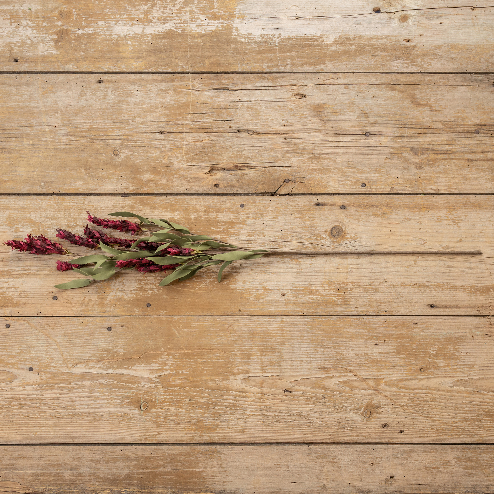 Wine Lavender Spray, 33", photo 4 of 7