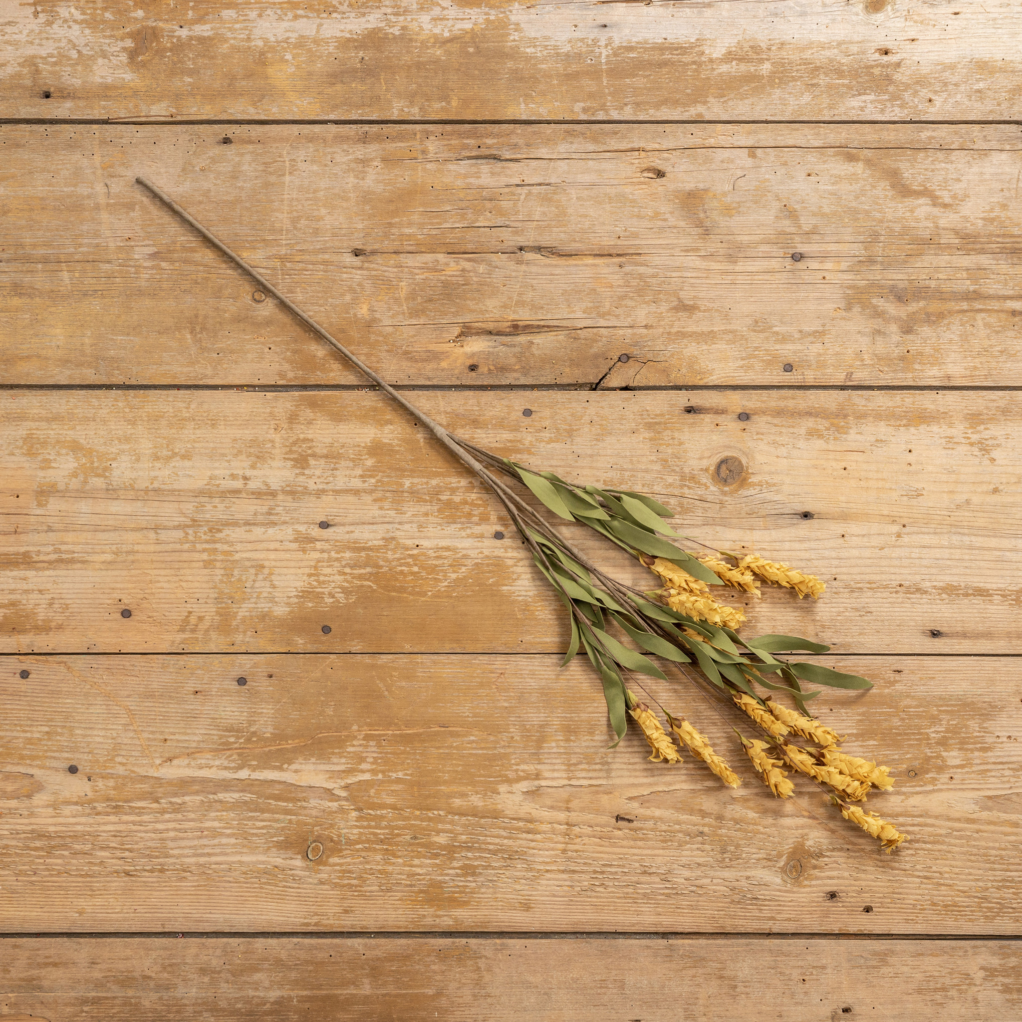 Mustard Lavender Spray, 33", photo 3 of 5