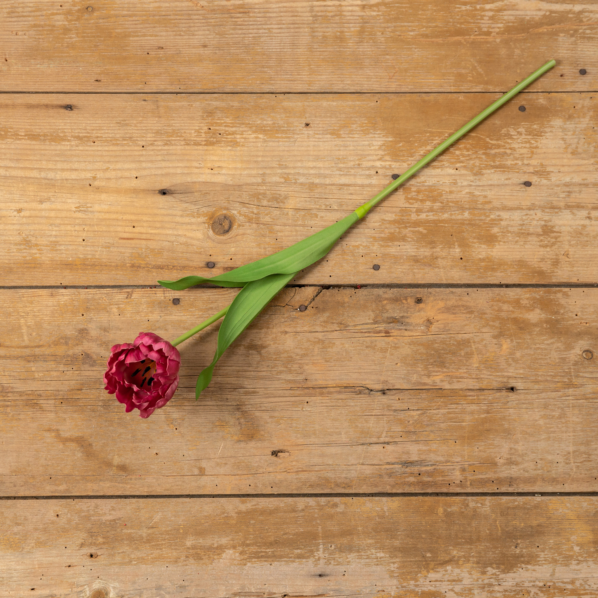 Burgundy Tulip Stem, 25", photo 3 of 5