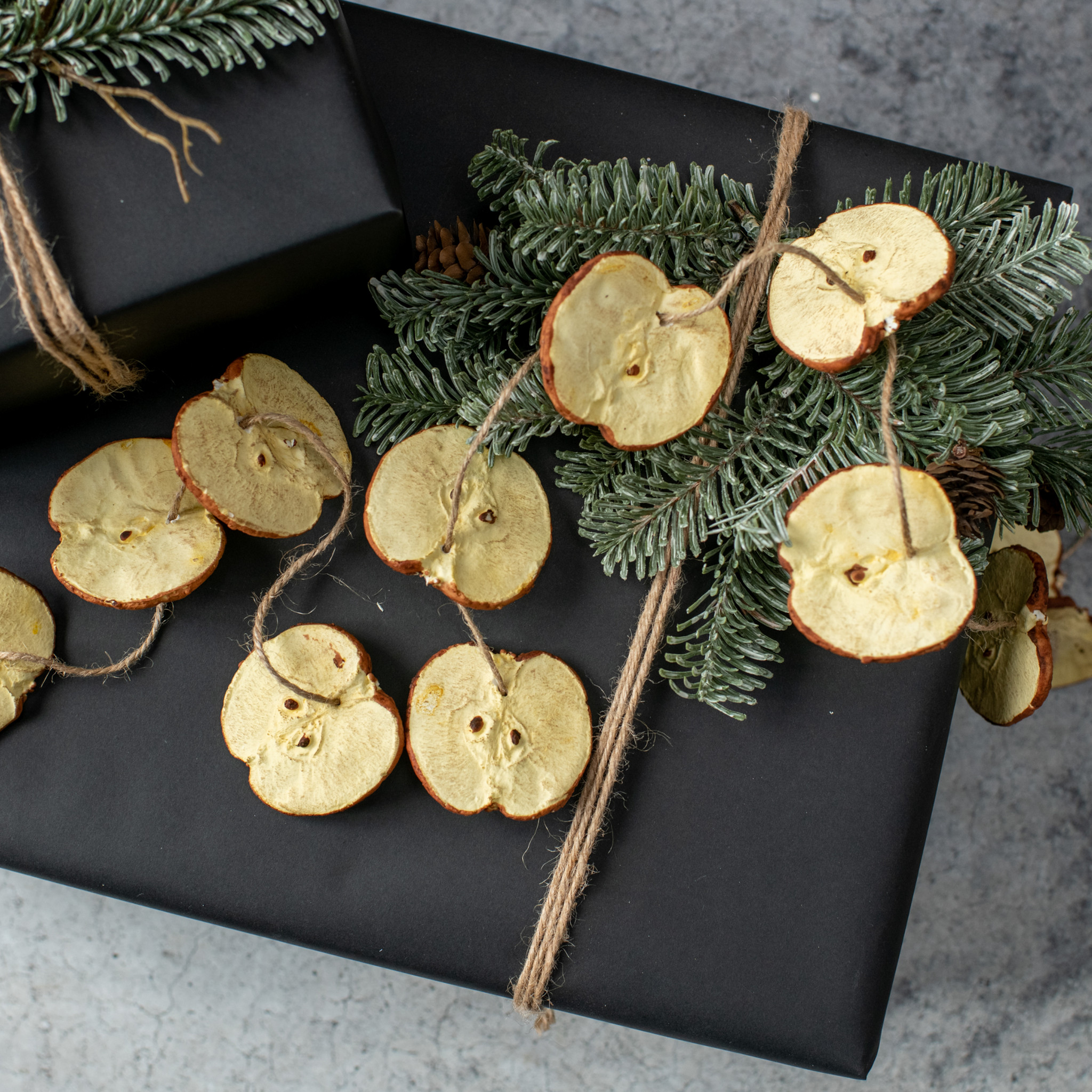 Apple Slice Garland, 5 ft, photo 3 of 5