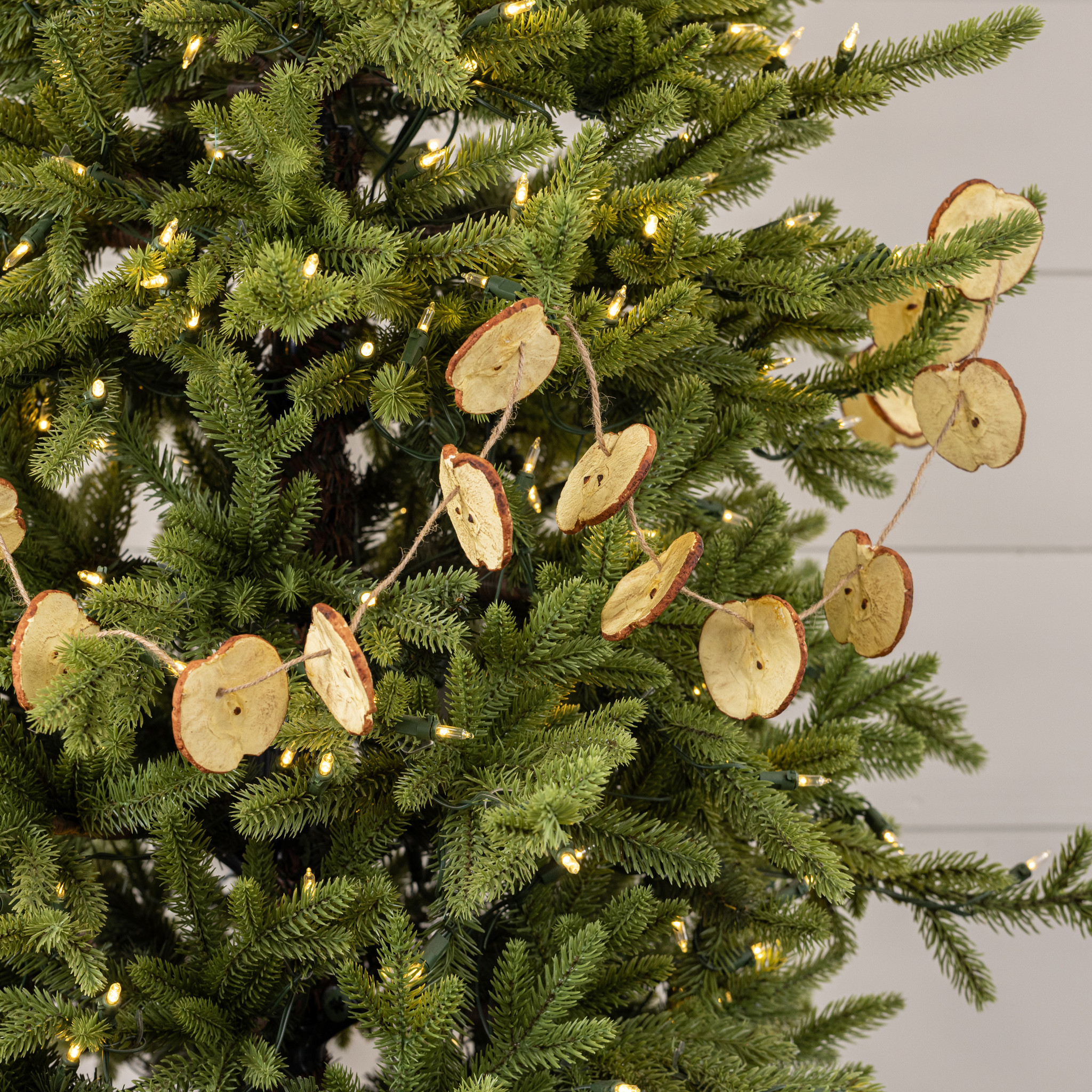 Apple Slice Garland, 5 ft, photo 4 of 5
