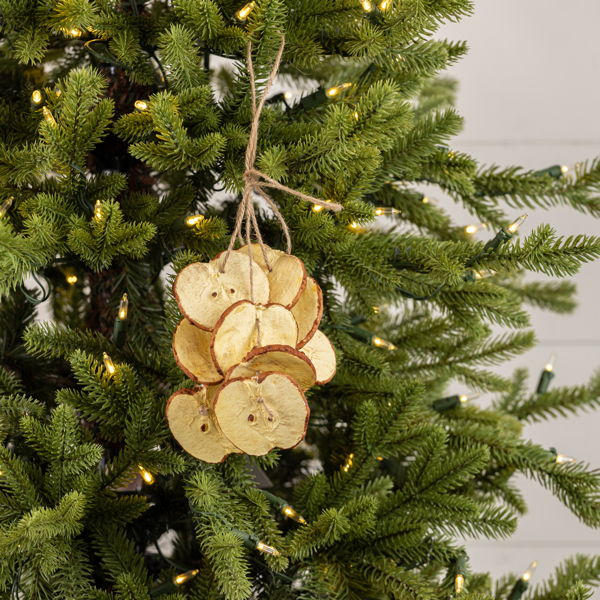 Apple Slice Hanging Ornament, 12", photo 3 of 3