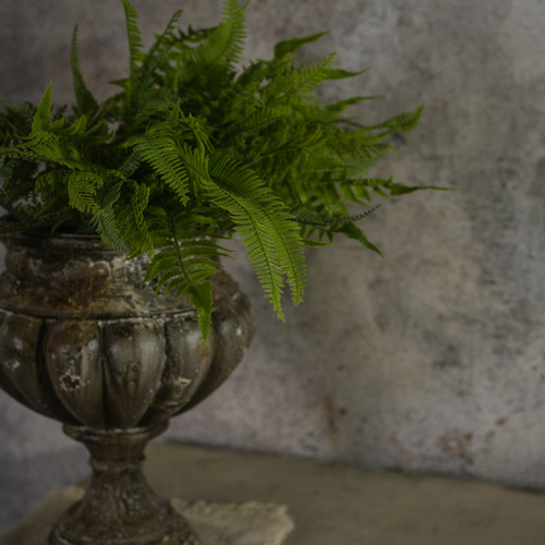 20" MIXED FERN BUSH
