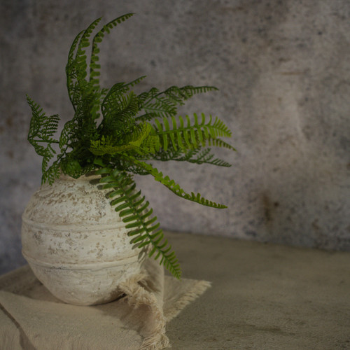 12" SWORD FERN & CEDAR BUSH