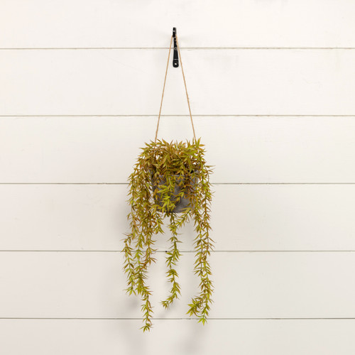 18.5" GREEN & PURPLE WEEPING HANGING POT