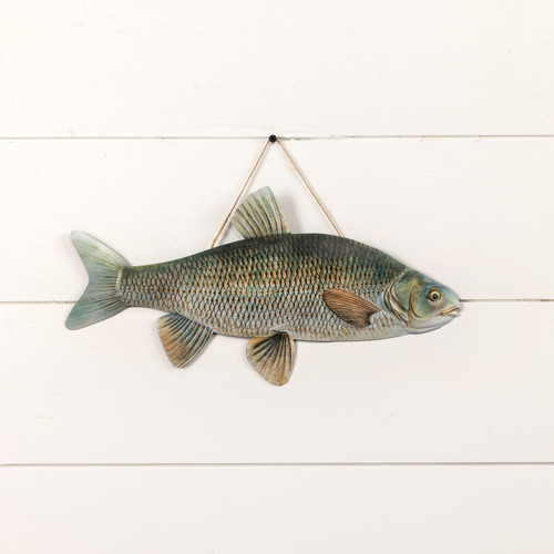 16" CHUB FISH