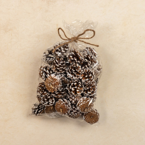 BAG OF SNOWY PINECONES