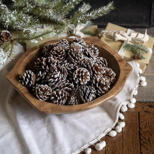 BAG OF SNOWY PINECONES