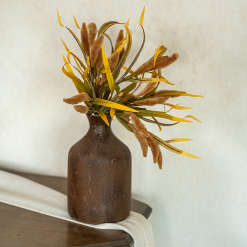 19" COFFEE FOXTAIL BUSH